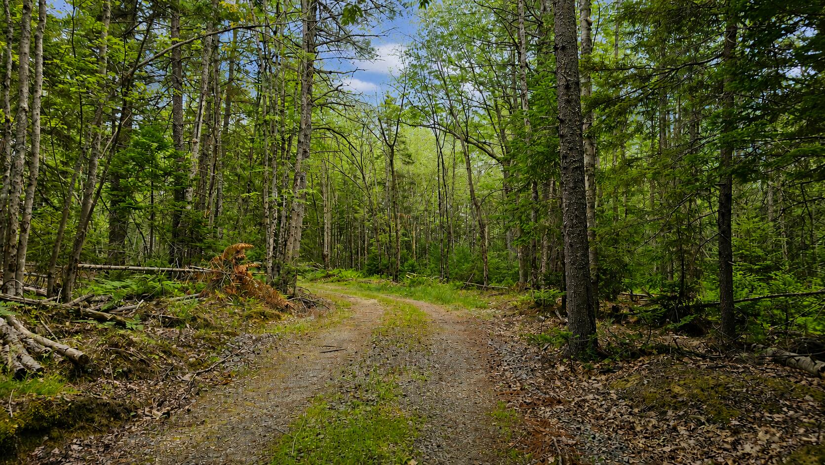Lot 42 Colby Road
