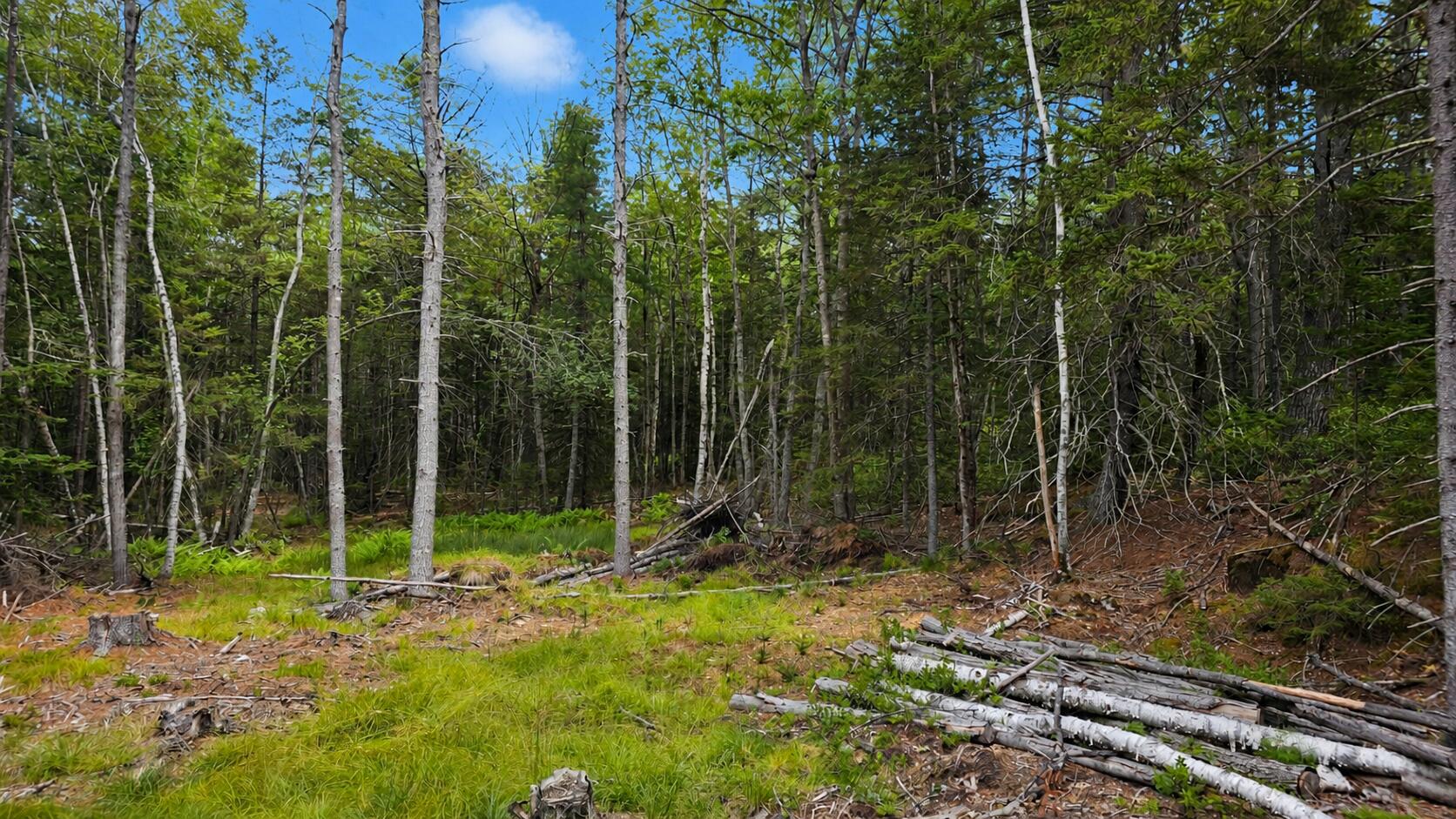 Lot 42 Colby Road