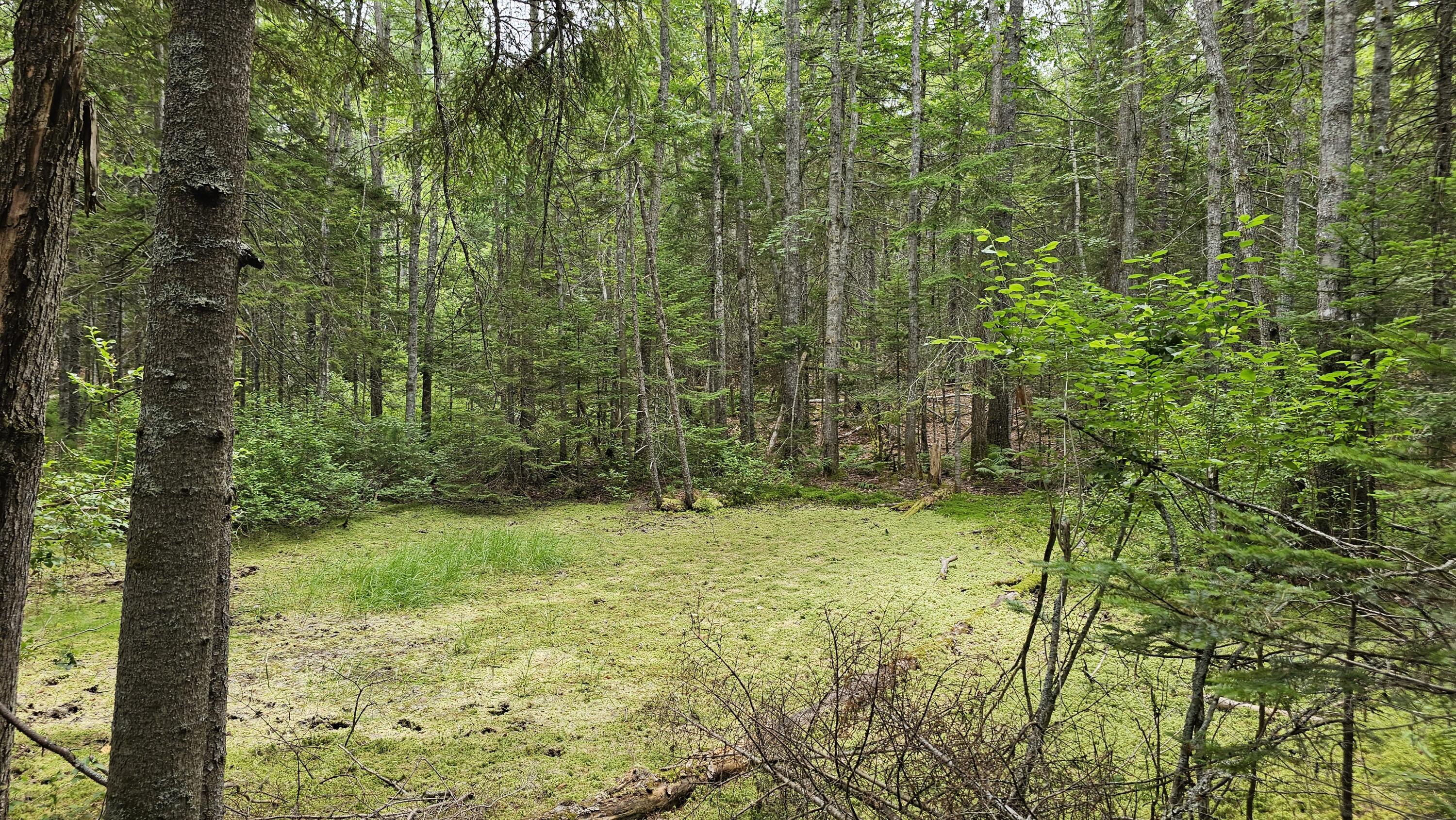 Lot 42 Colby Road