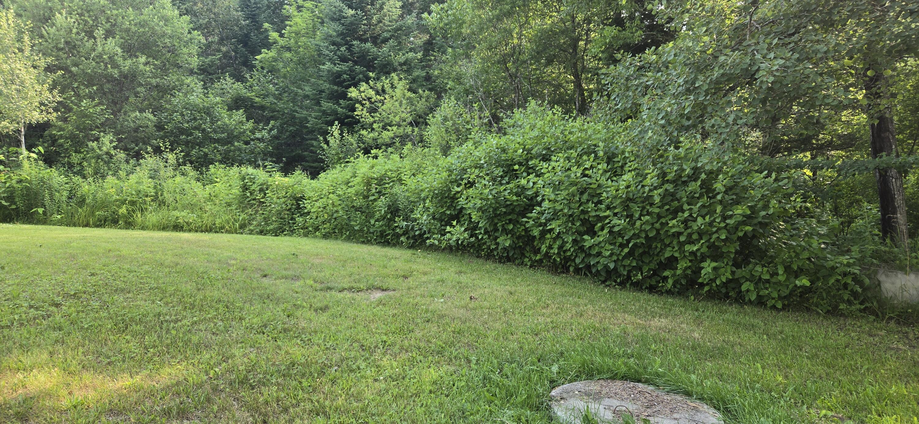 390 Dickey Road