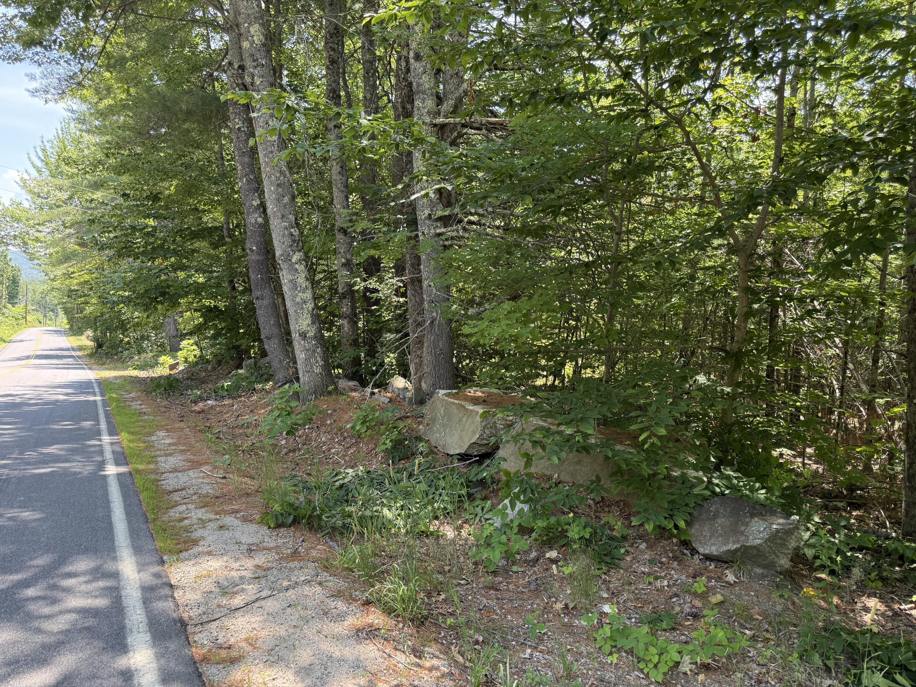 #00 Maplewood Road