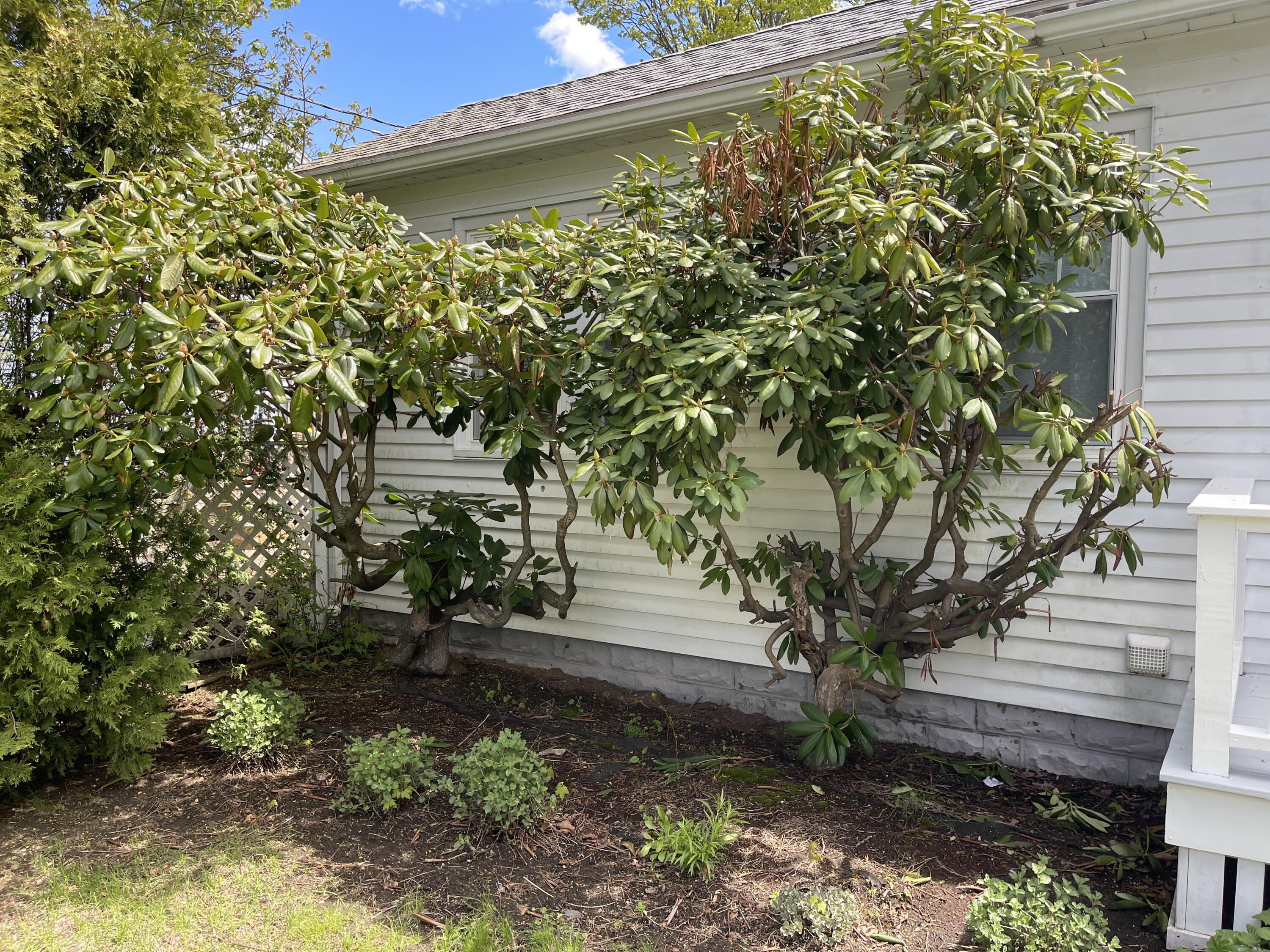 12 Grandview Avenue