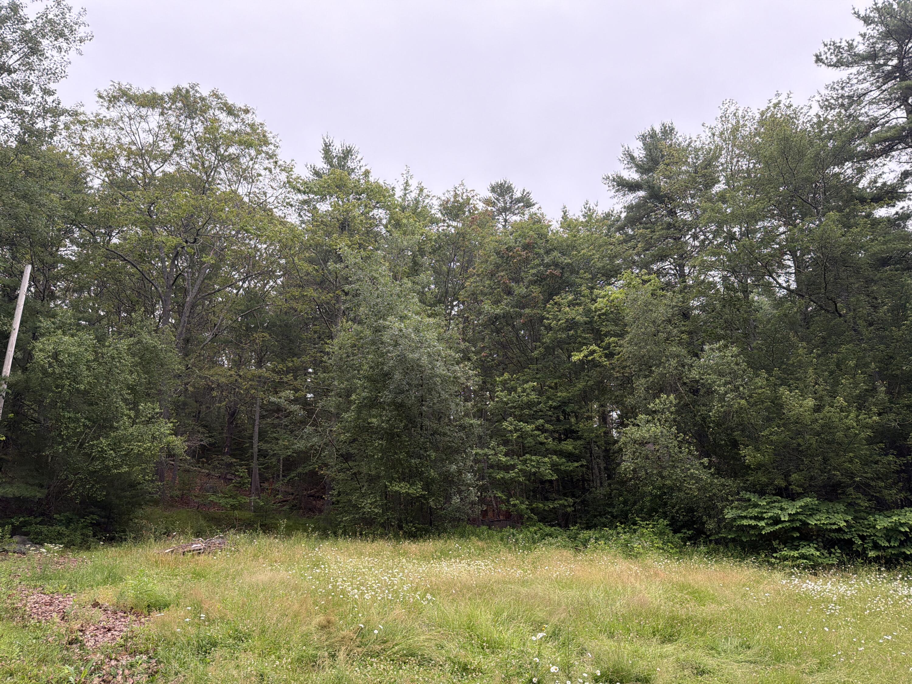 94 Shady Lane 4