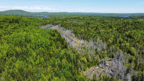 Photo of Lot 10 Morrison Brook Acres, Oakfield, ME 04763 (MLS # 1659484)