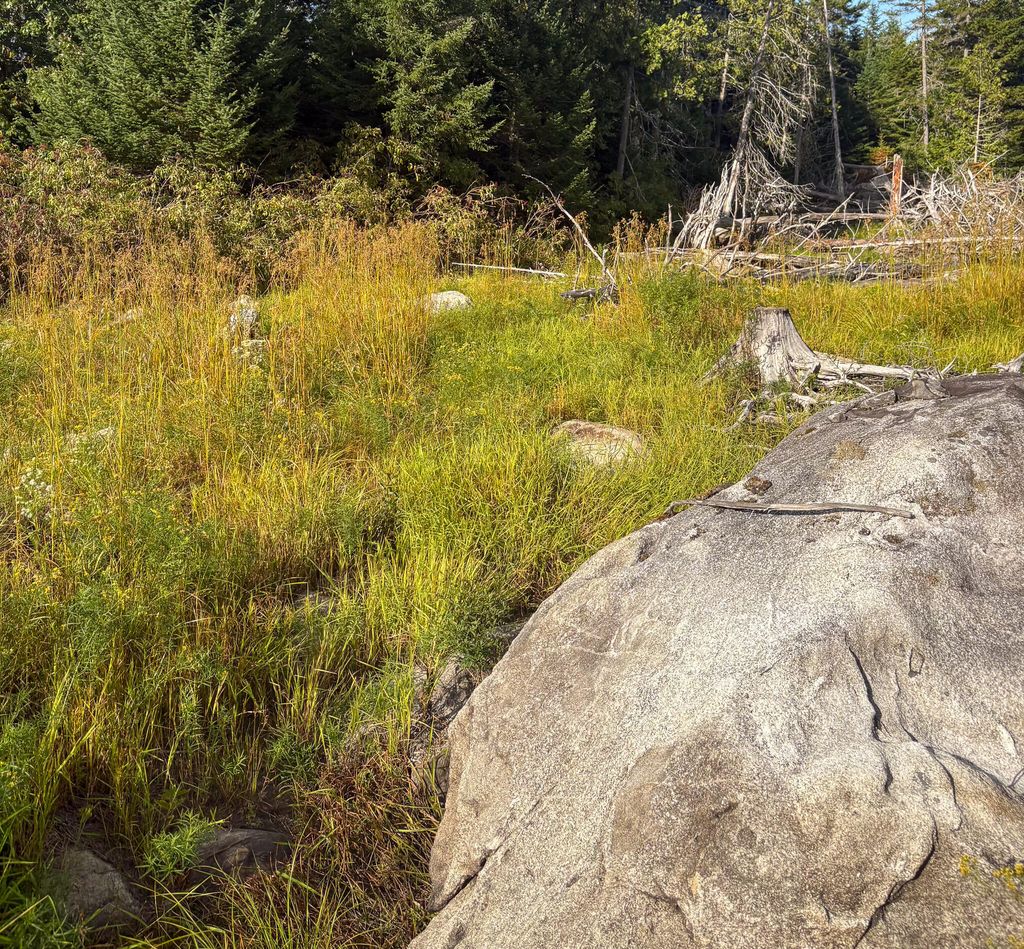 Photo of Lot 10 Morrison Brook Acres, Oakfield, ME 04763 (MLS # 1659484)
