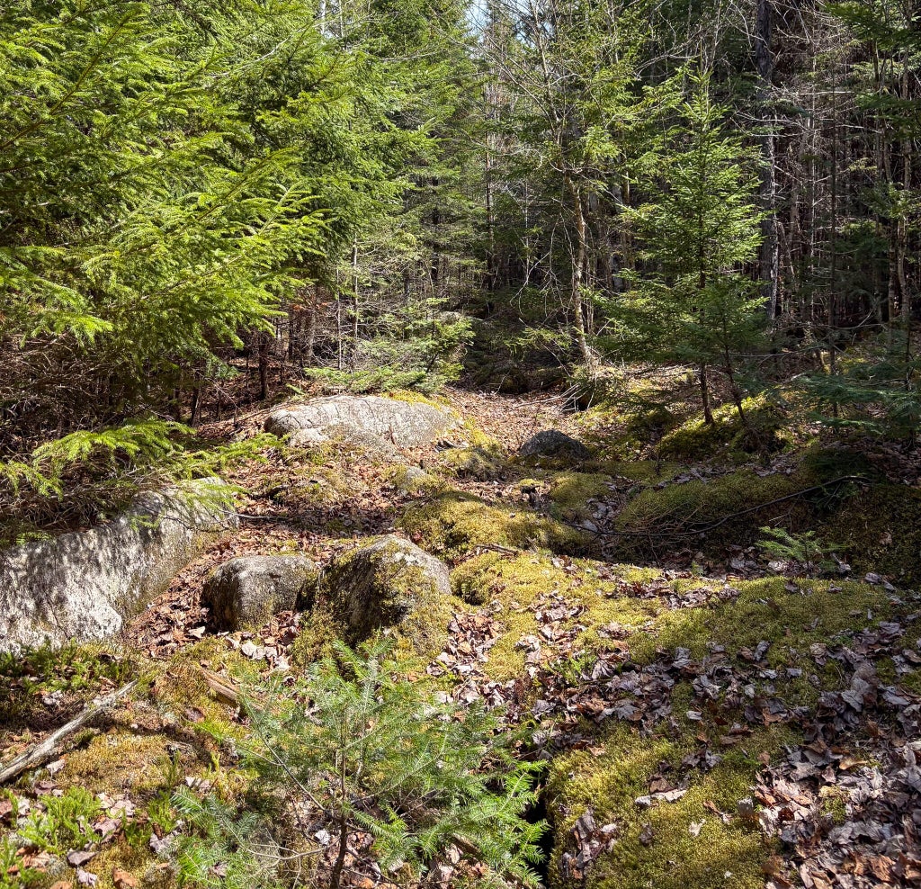 Photo of Lot 10 Morrison Brook Acres, Oakfield, ME 04763 (MLS # 1659484)