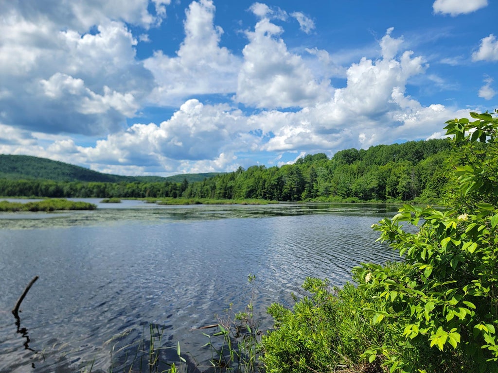 Photo of 477 Hadley Mill Road, Jackson, ME 04921 (MLS # 1668922)
