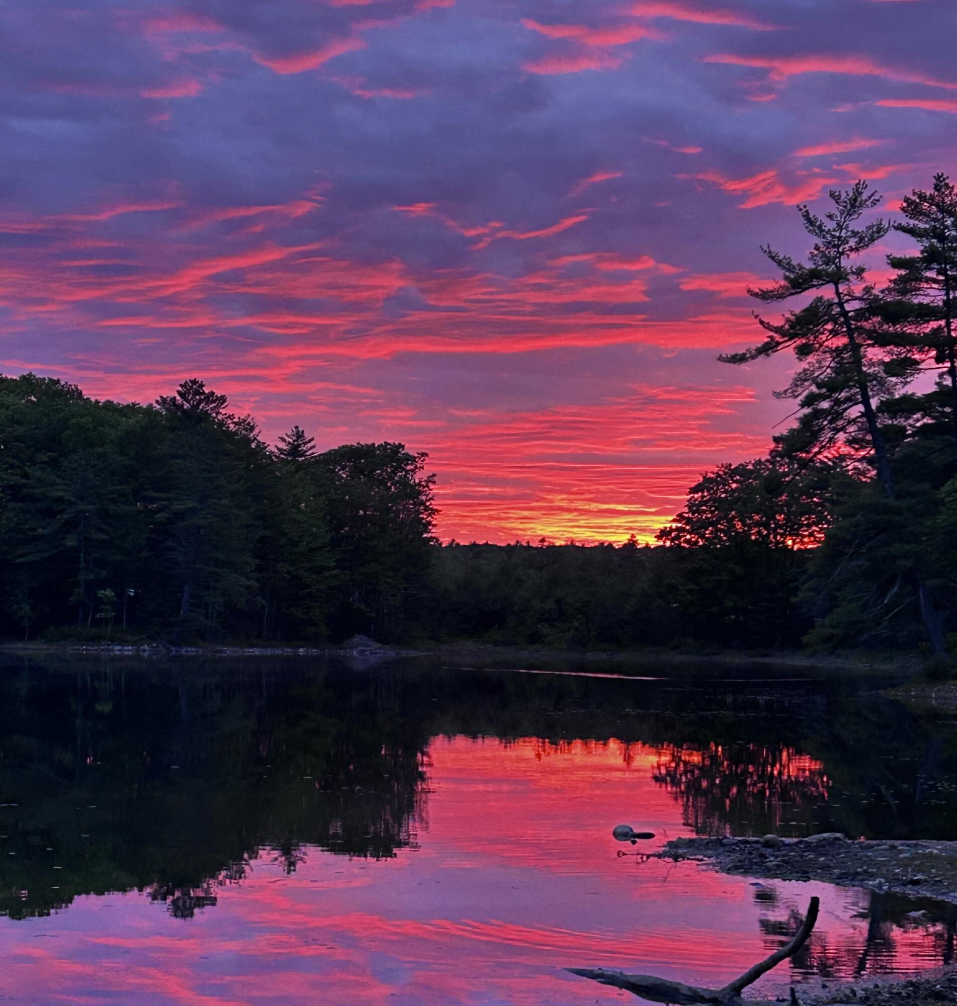 Island Pond