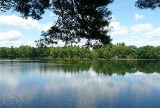 Island Pond