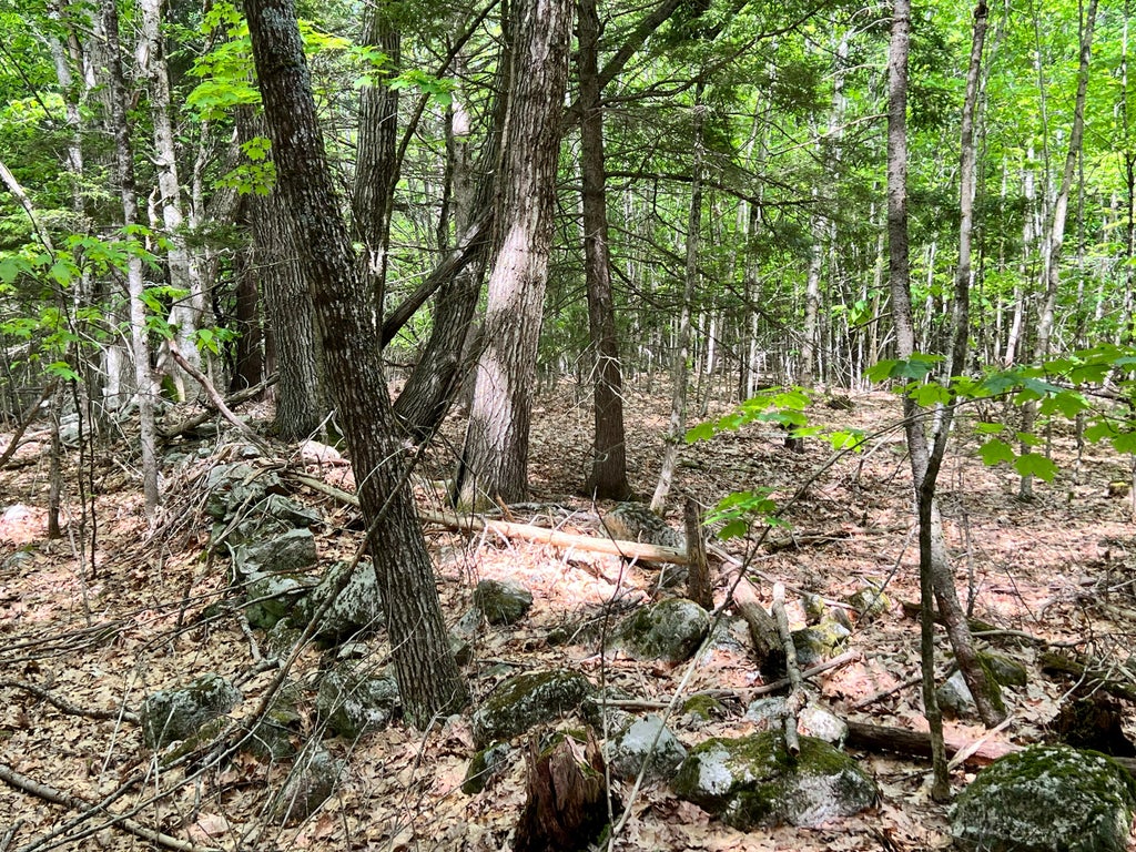 Photo of 235 Weeks Road, Richmond, ME 04357 (MLS # 1664339)
