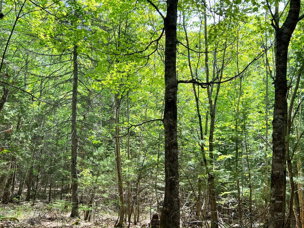 Photo of 235 Weeks Road, Richmond, ME 04357 (MLS # 1664339)