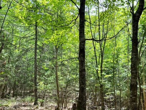 Photo of 235 Weeks Road, Richmond, ME 04357 (MLS # 1664339)