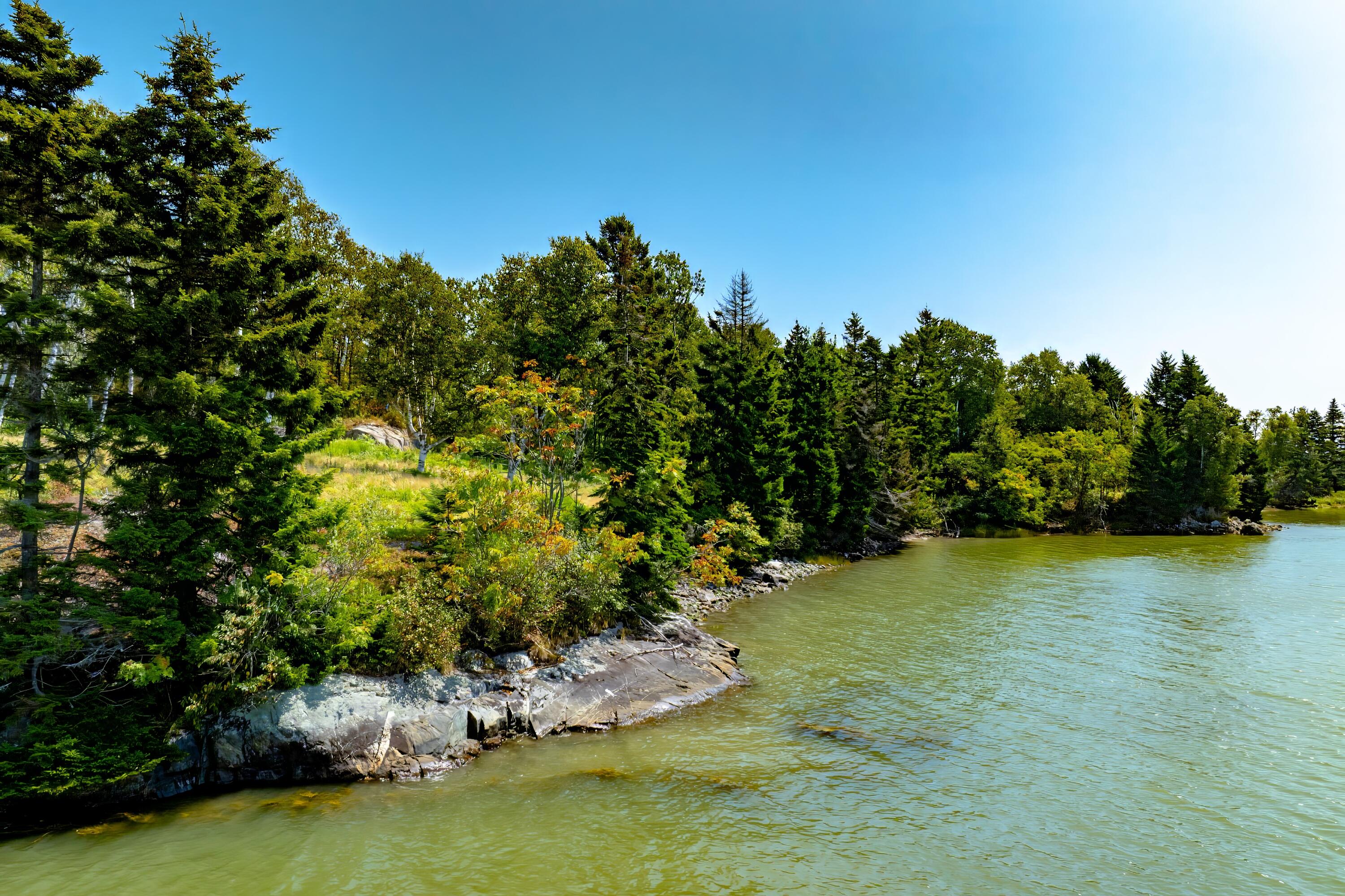 Lot 11 Seaberry Landing