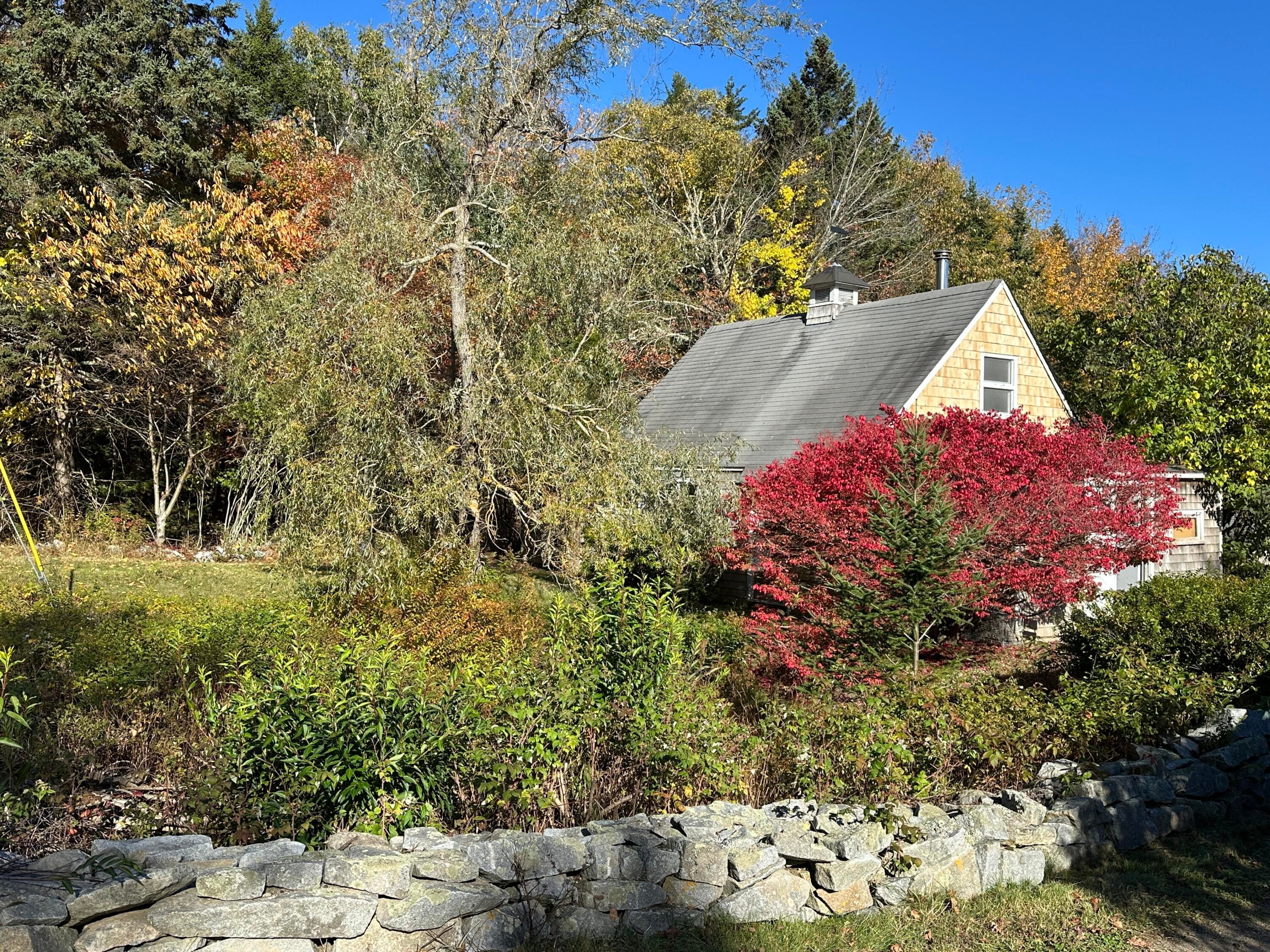 298 Turkey Cove Road