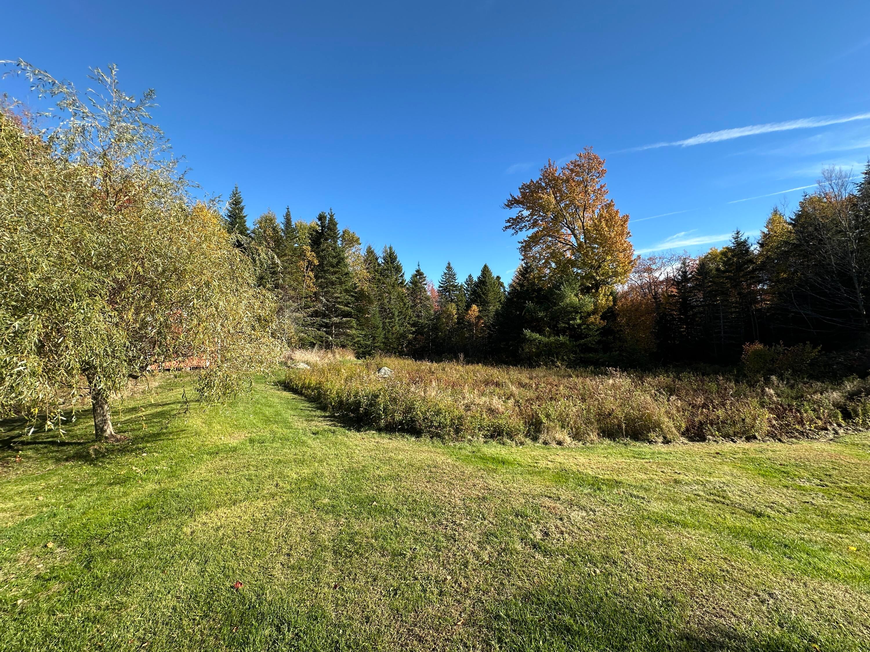 298 Turkey Cove Road