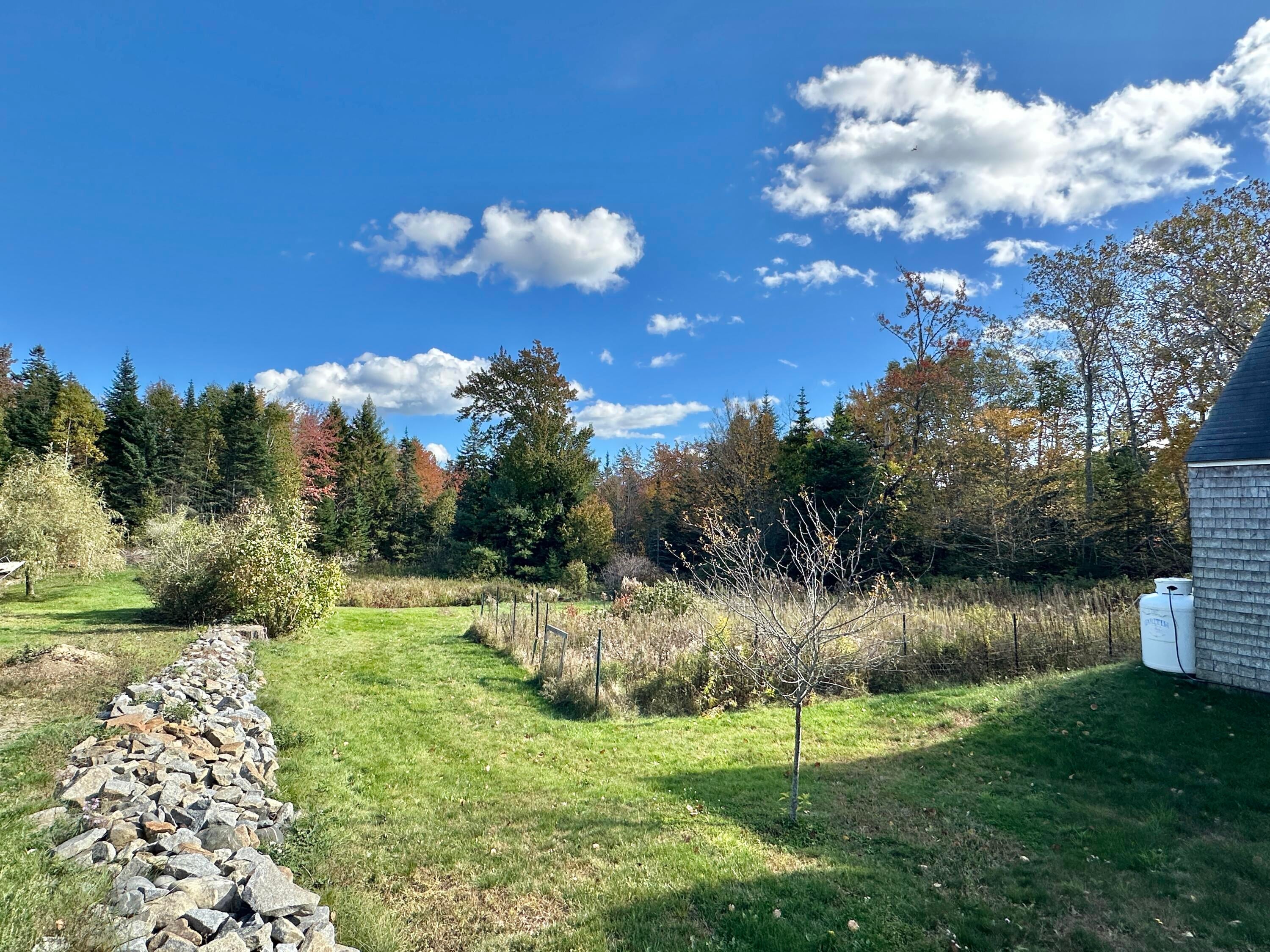 298 Turkey Cove Road