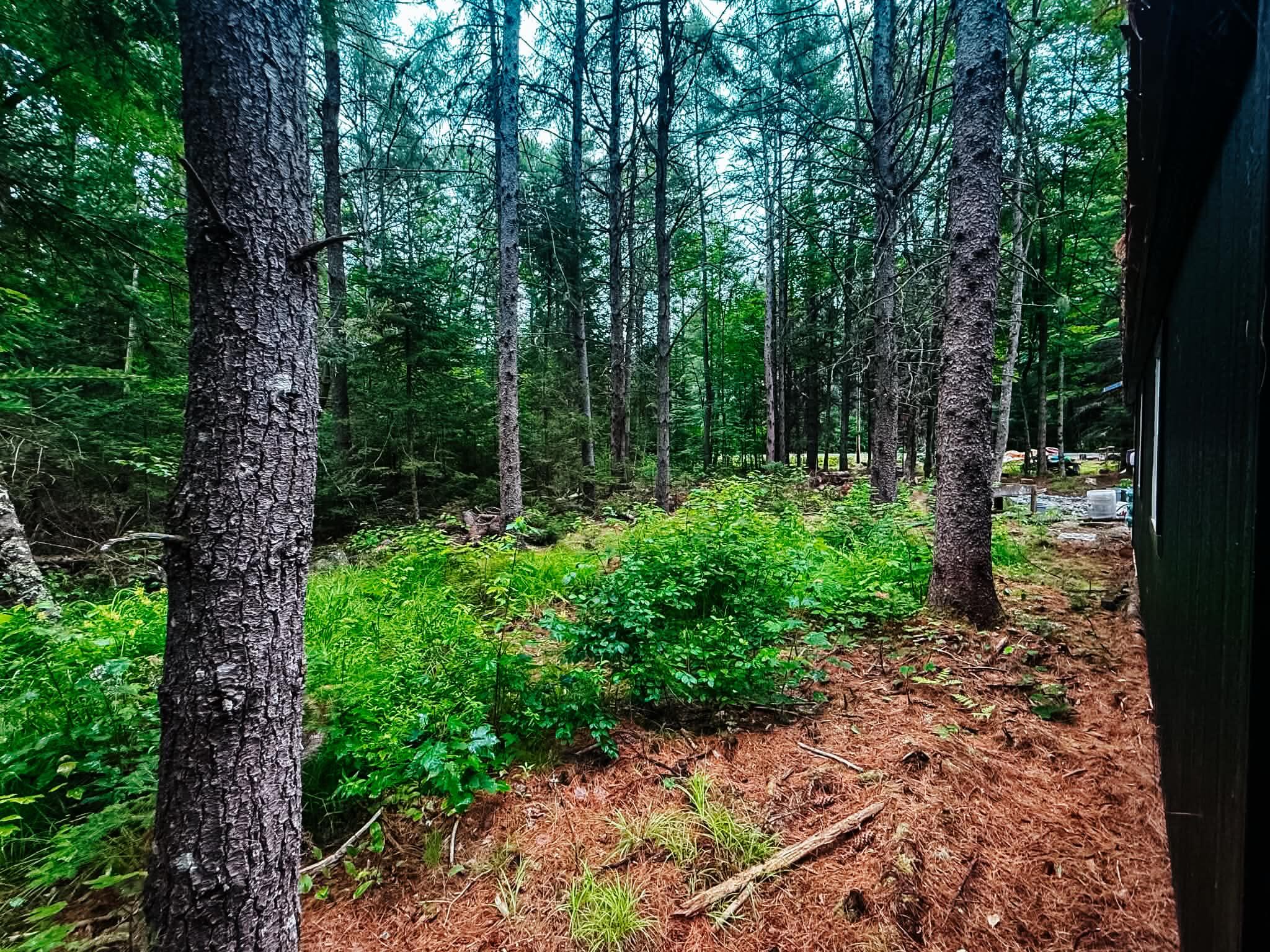 2539 Edinburg Road