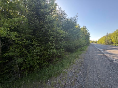 Photo of Lot A,C,&D Vanceboro Road, Vanceboro, ME 04619 (MLS # 1666004)