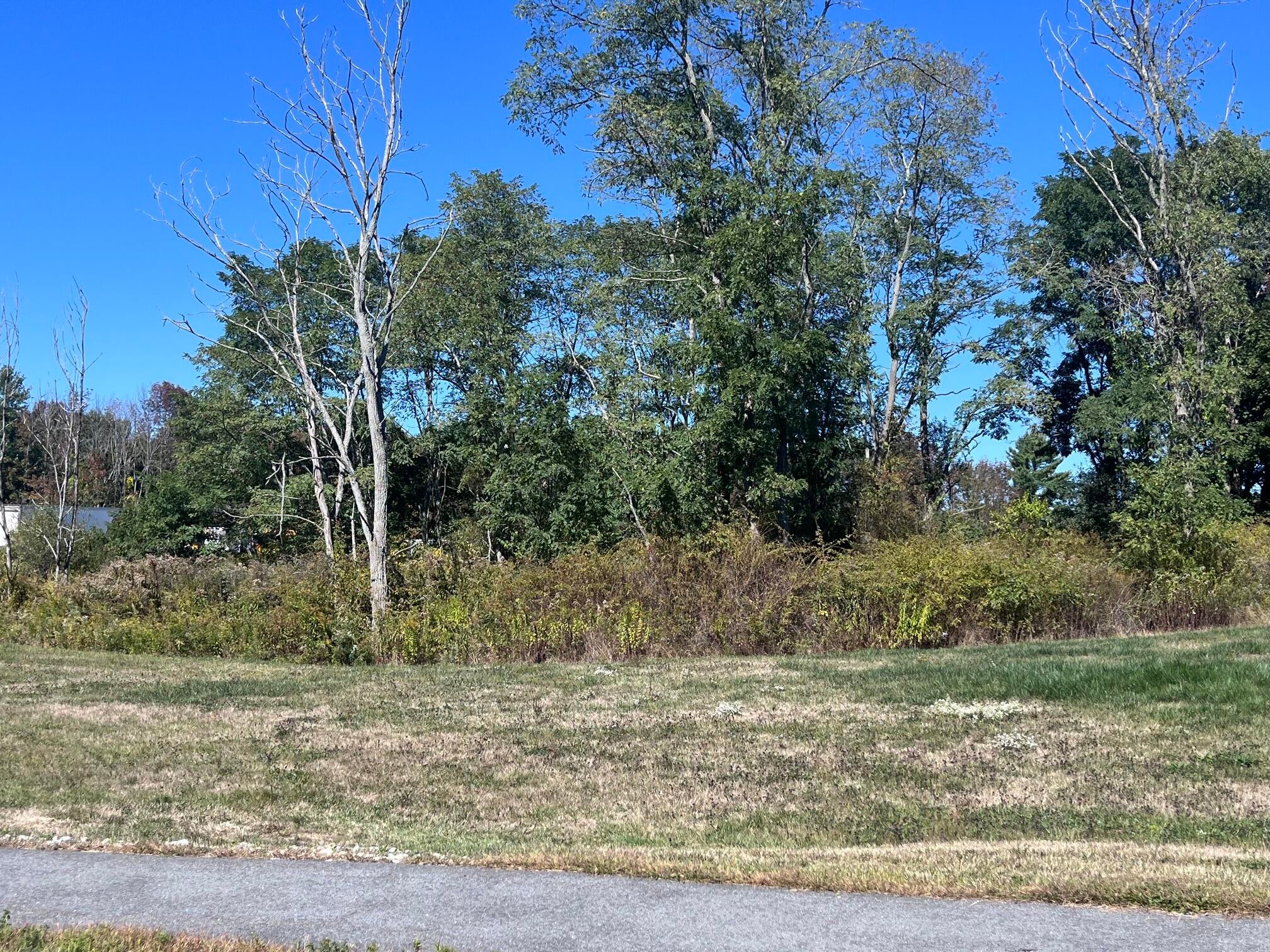 Lot 3 Clover Way