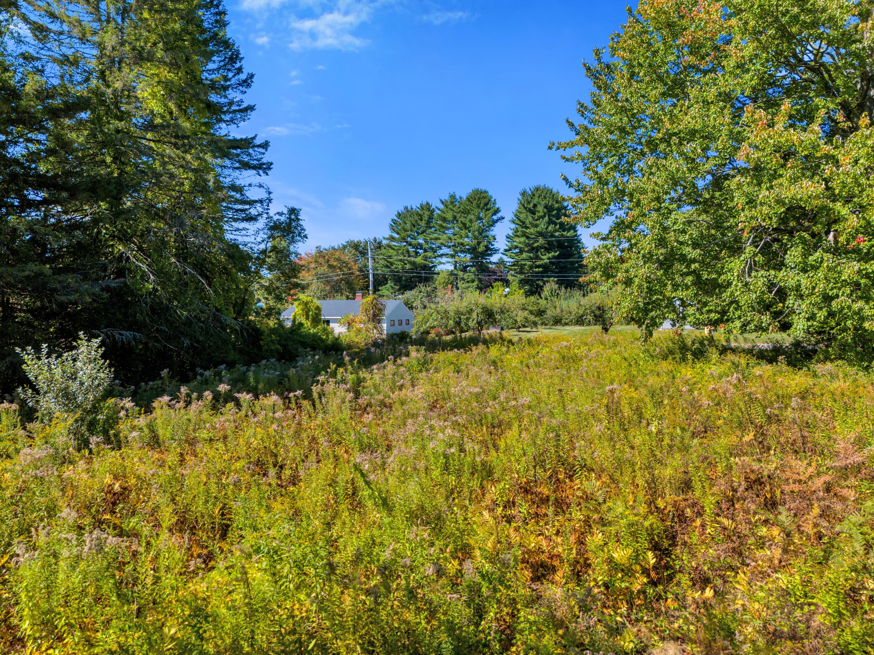 TBD Apple Brook Drive 0