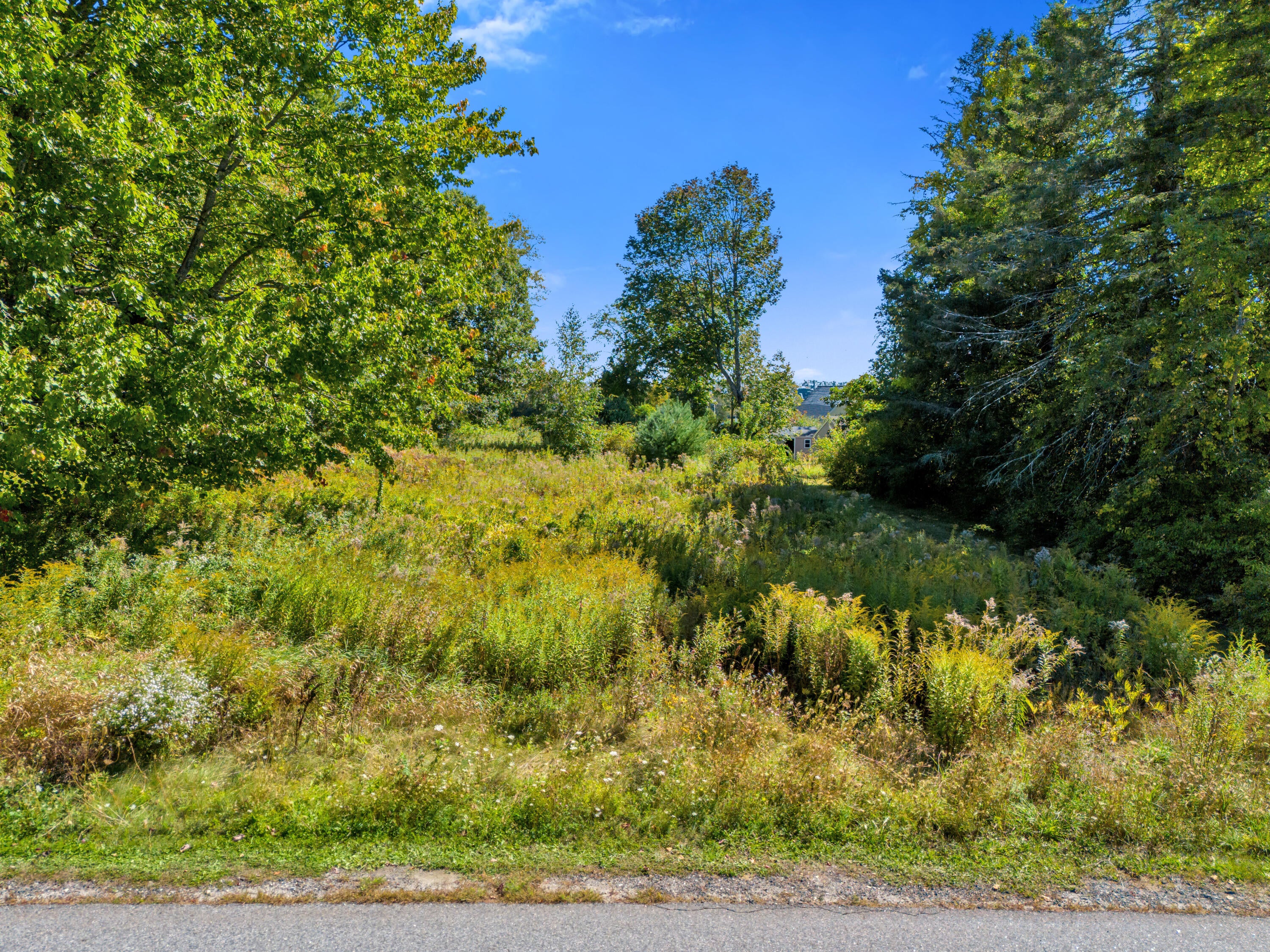 TBD Apple Brook Drive 0