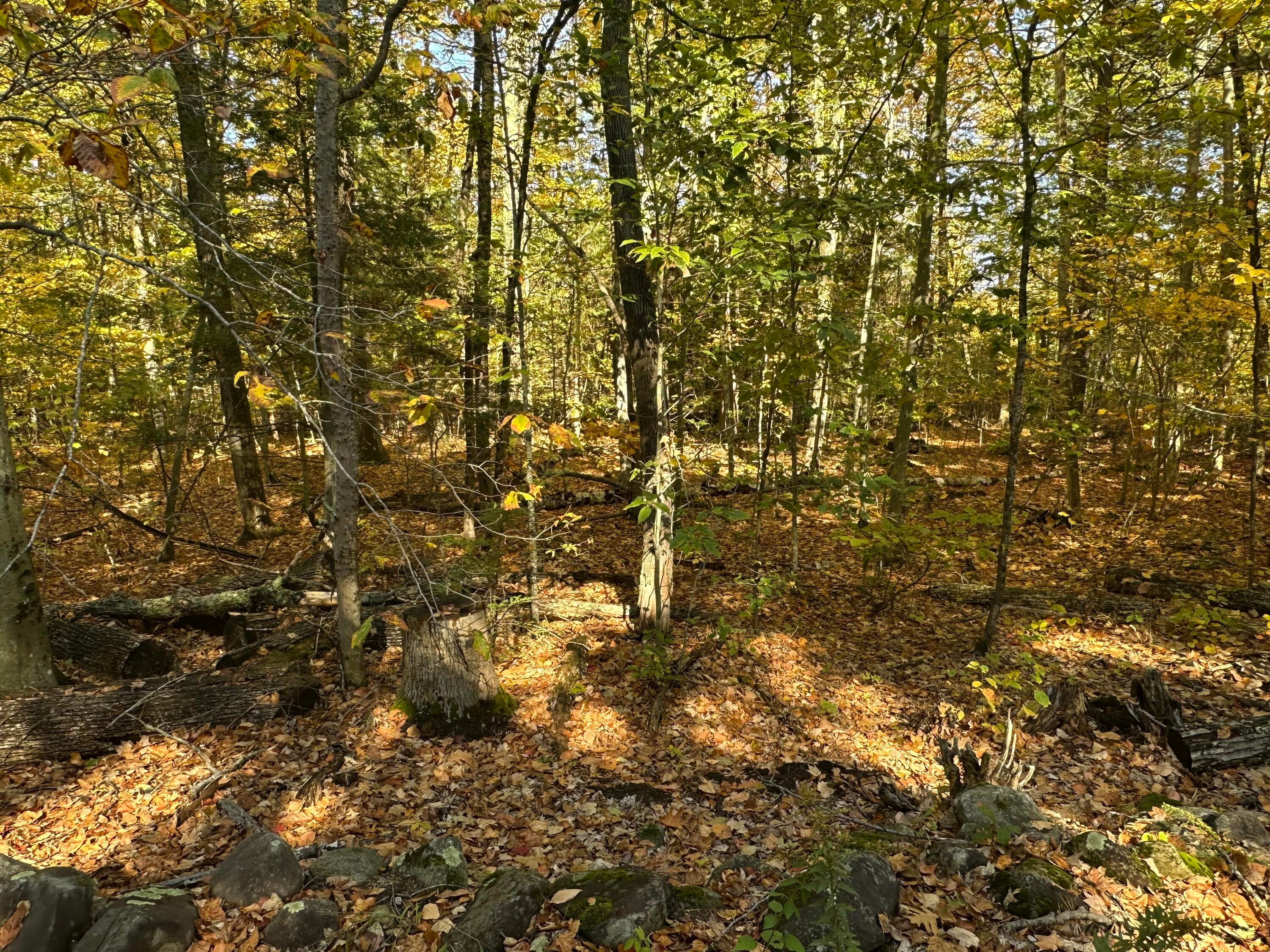 4acres Deering Ridge Road