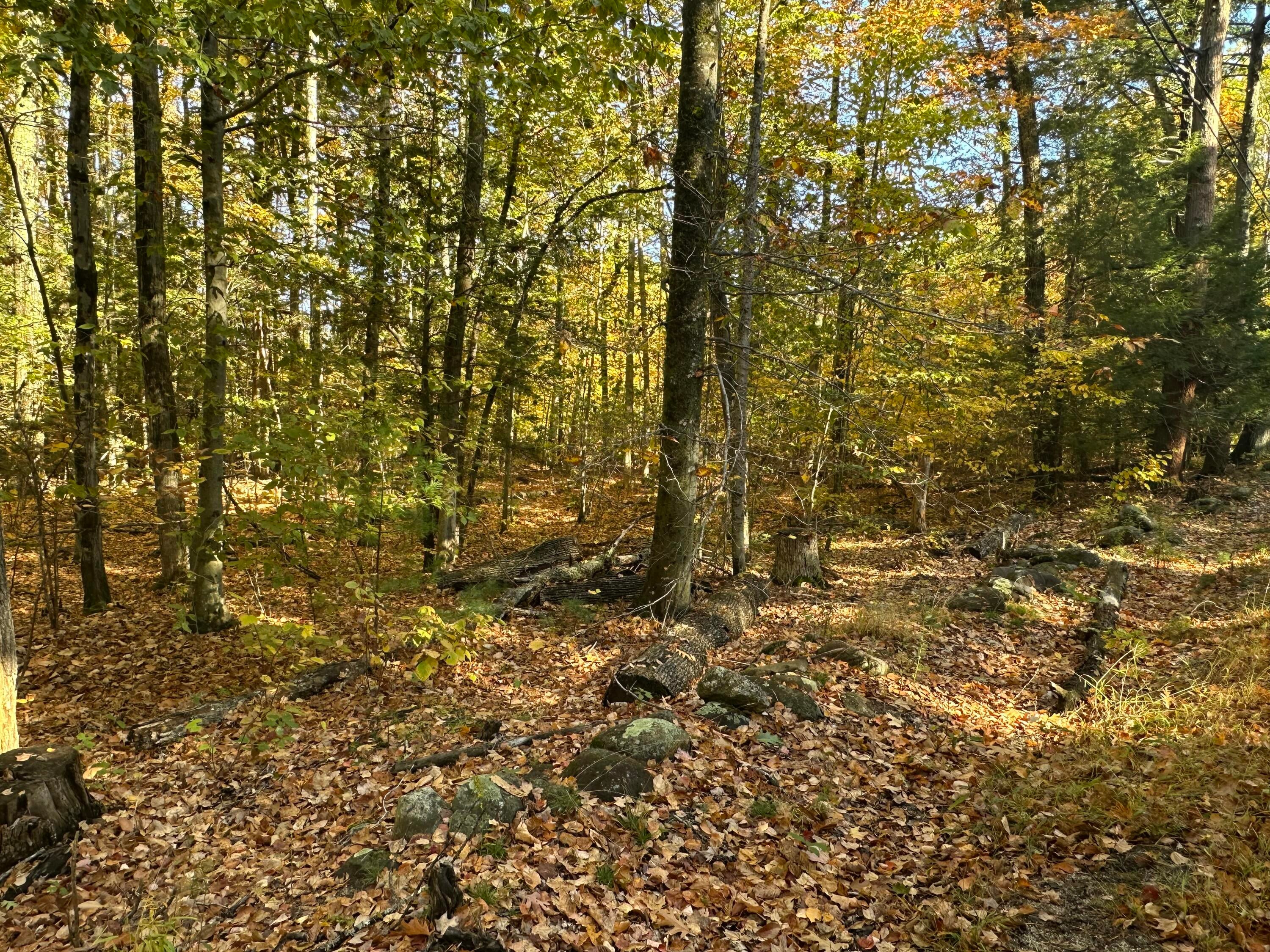 4acres Deering Ridge Road