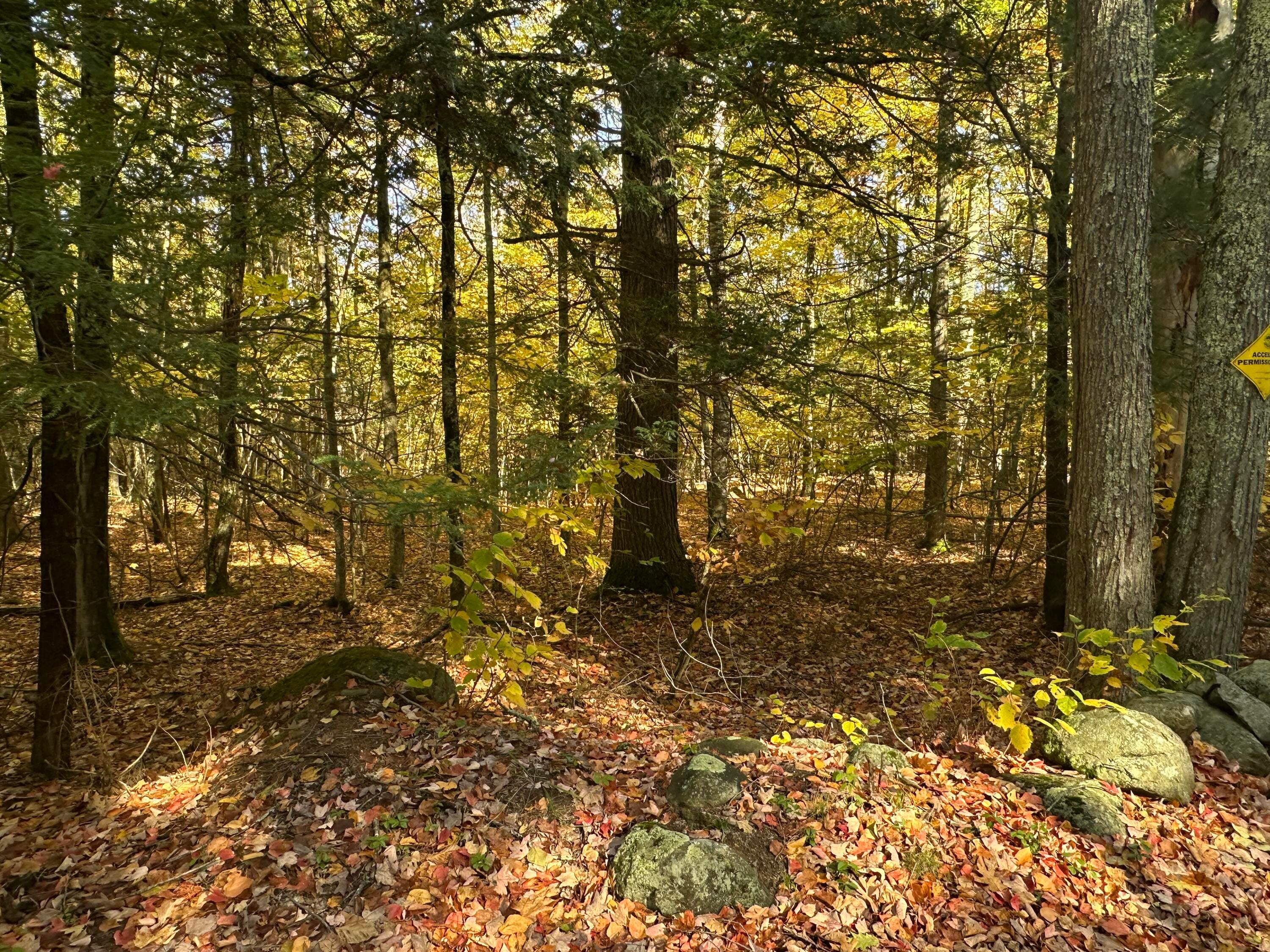 4acres Deering Ridge Road
