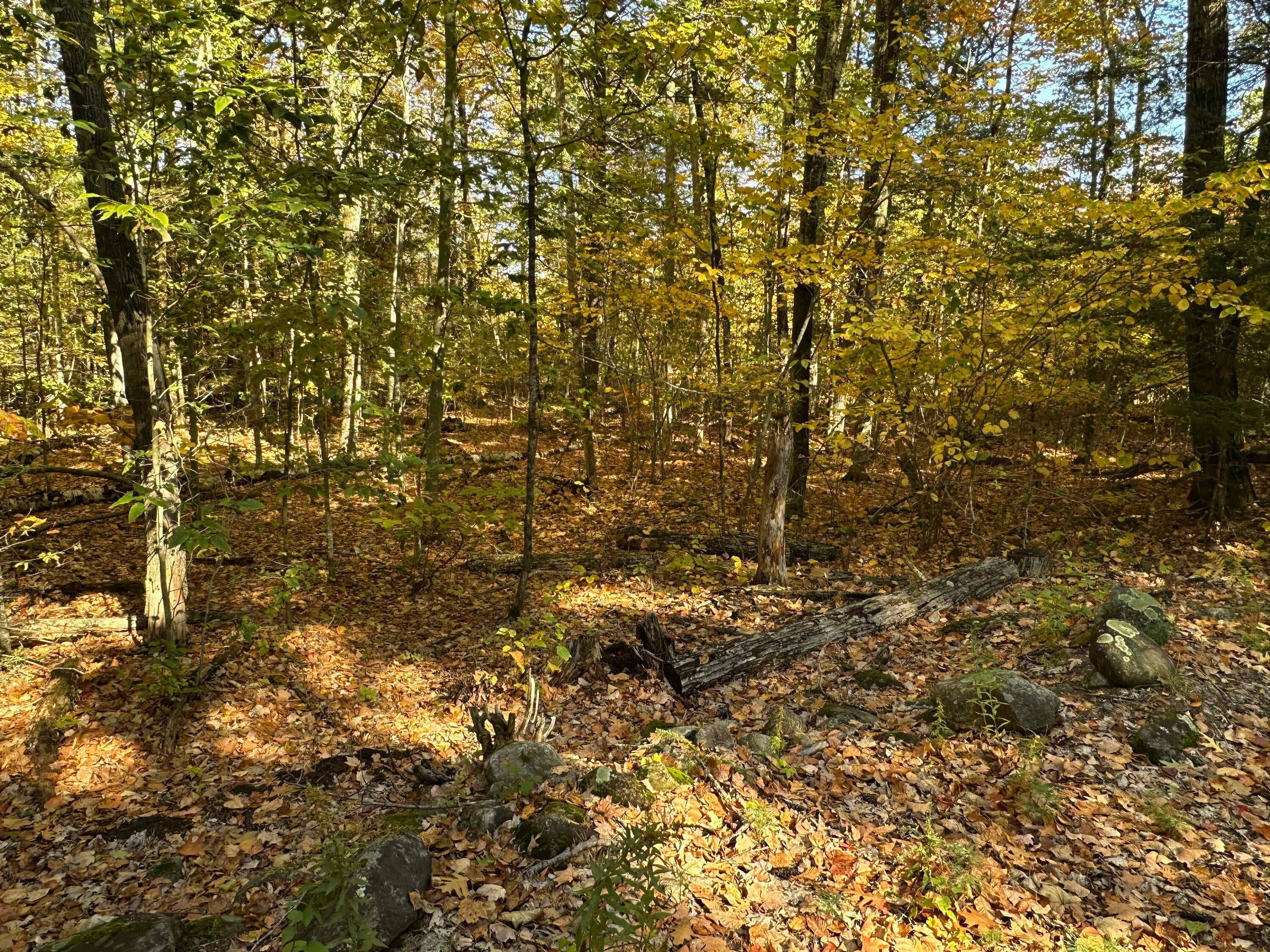 4acres Deering Ridge Road