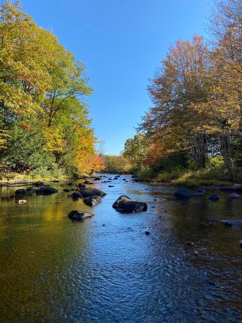 Photo of 0 Poppy Lane, Carthage, ME 04224 (MLS # 1663822)