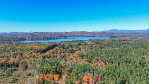 Lot 16 Lost Mile Road Parsonsfield ME 04047