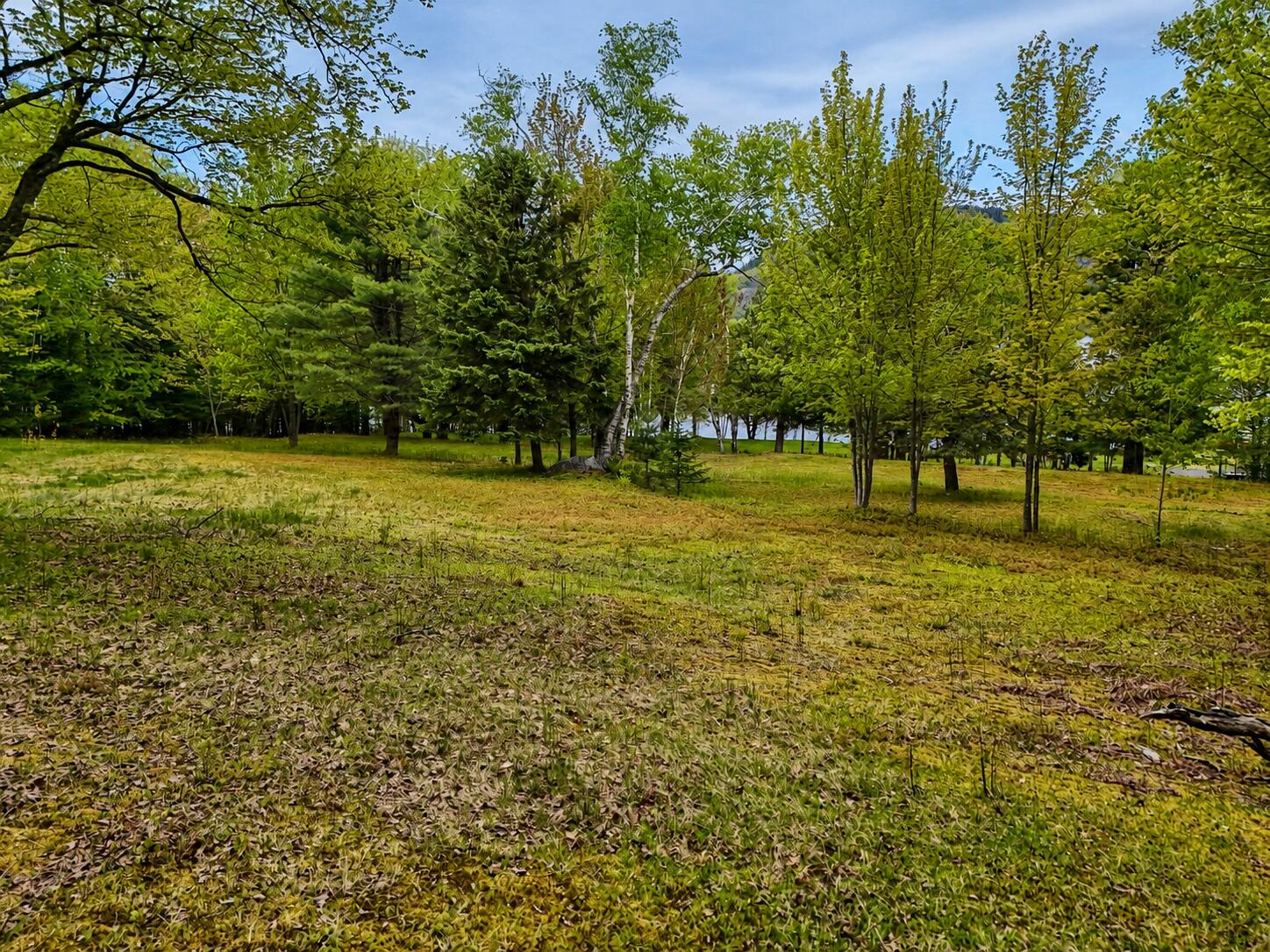 Lot 1 Hardscabble Road