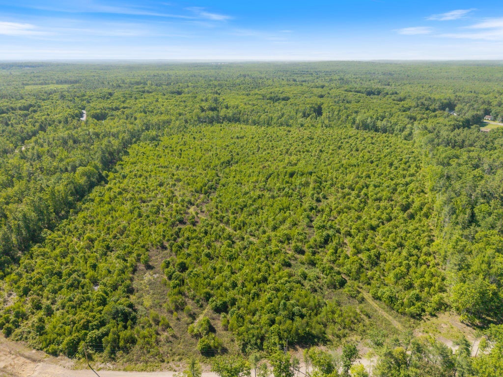 Photo of Map 004 Lot 064-5 &amp; 064-6 RD, Hollis, ME 04042 (MLS # 1666731)