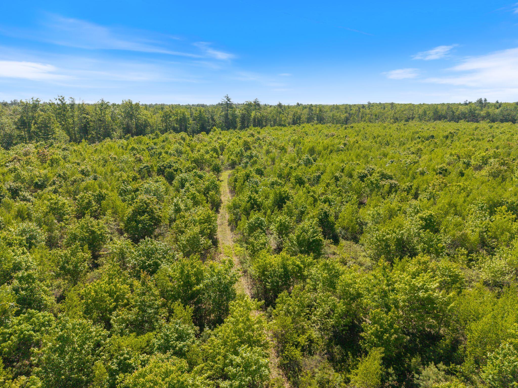 Map 004 Lot 064-5 & 064-6