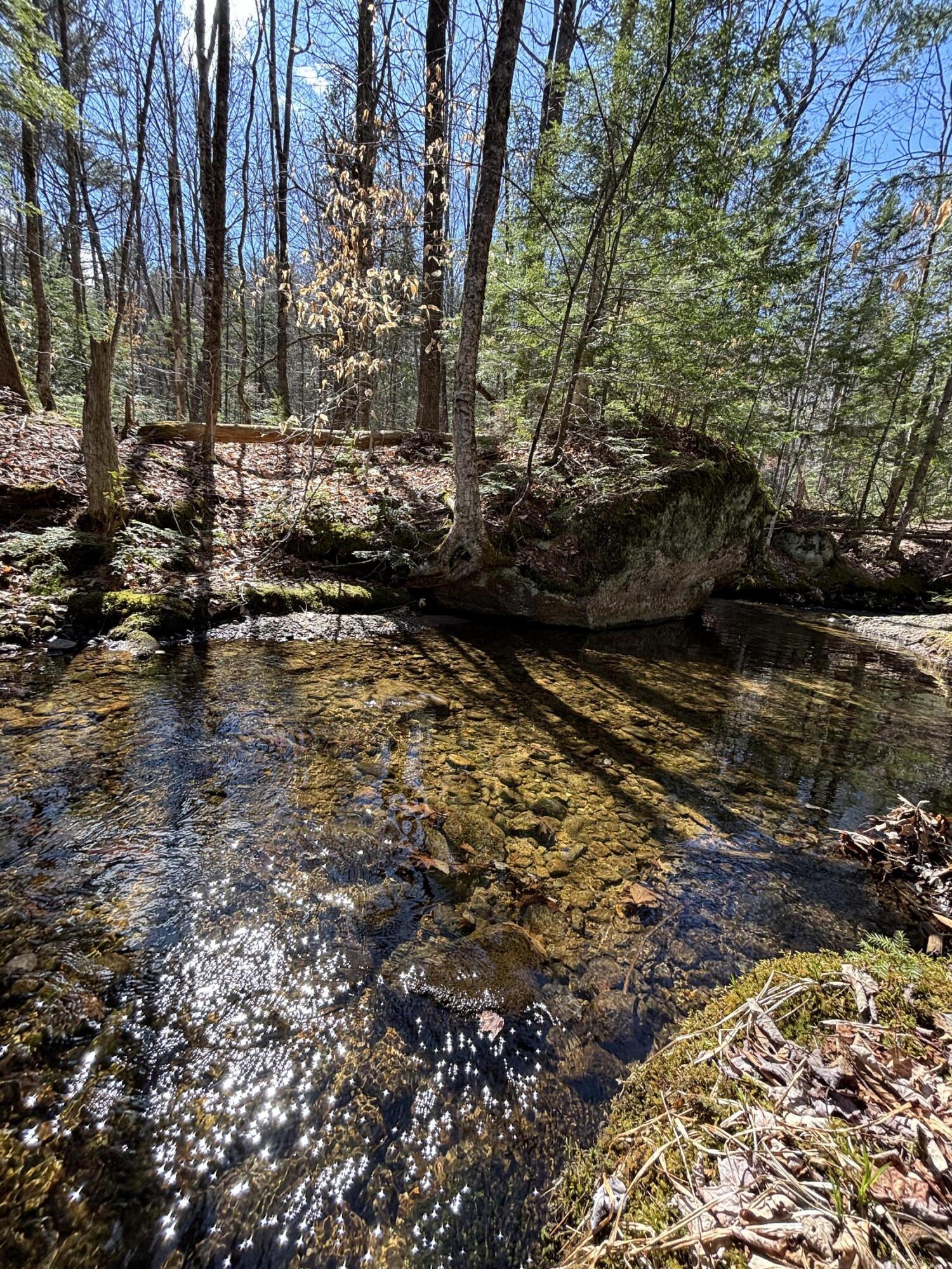 86 Mccrillis Brook Road