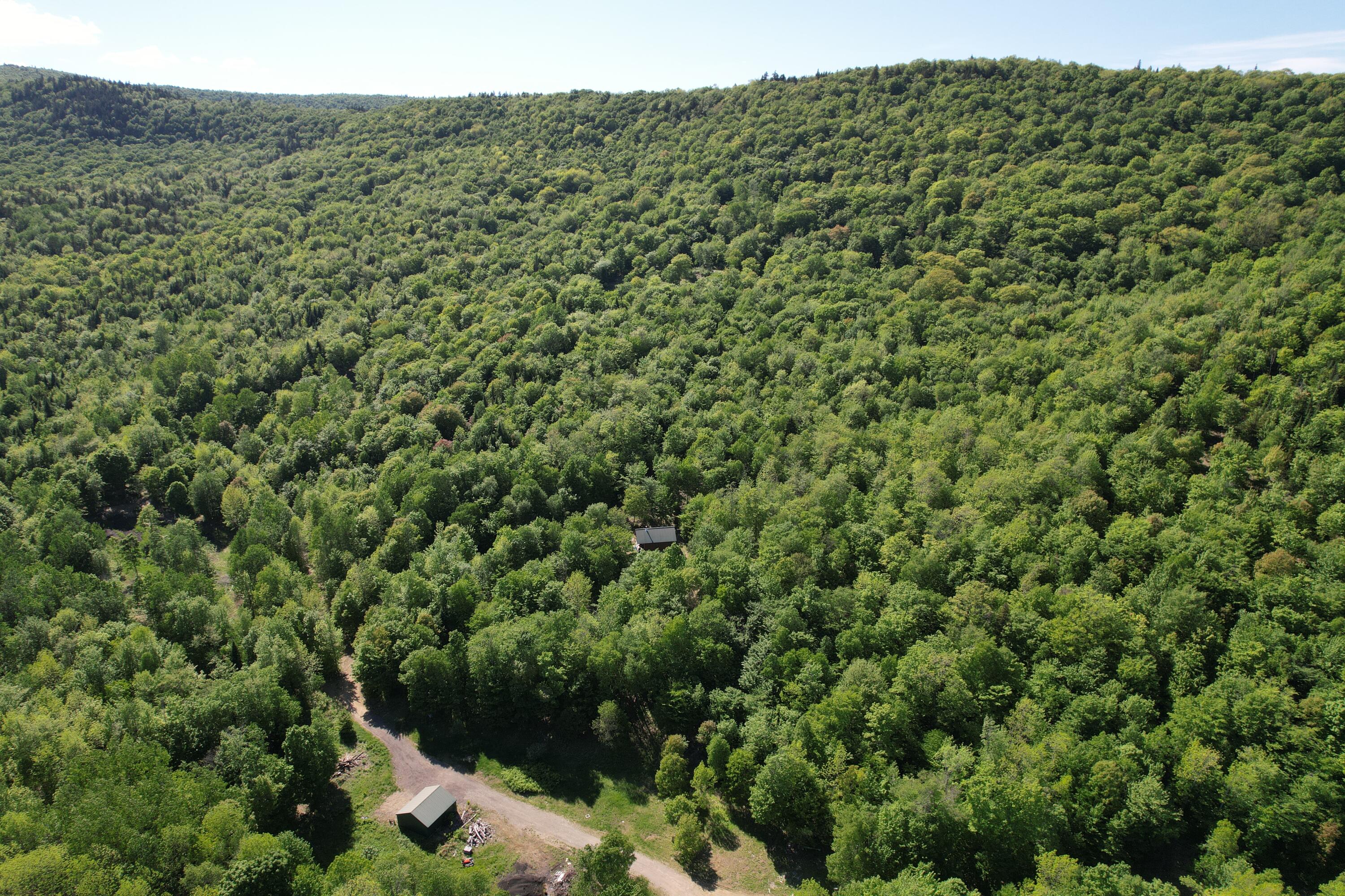 233 Weld Road