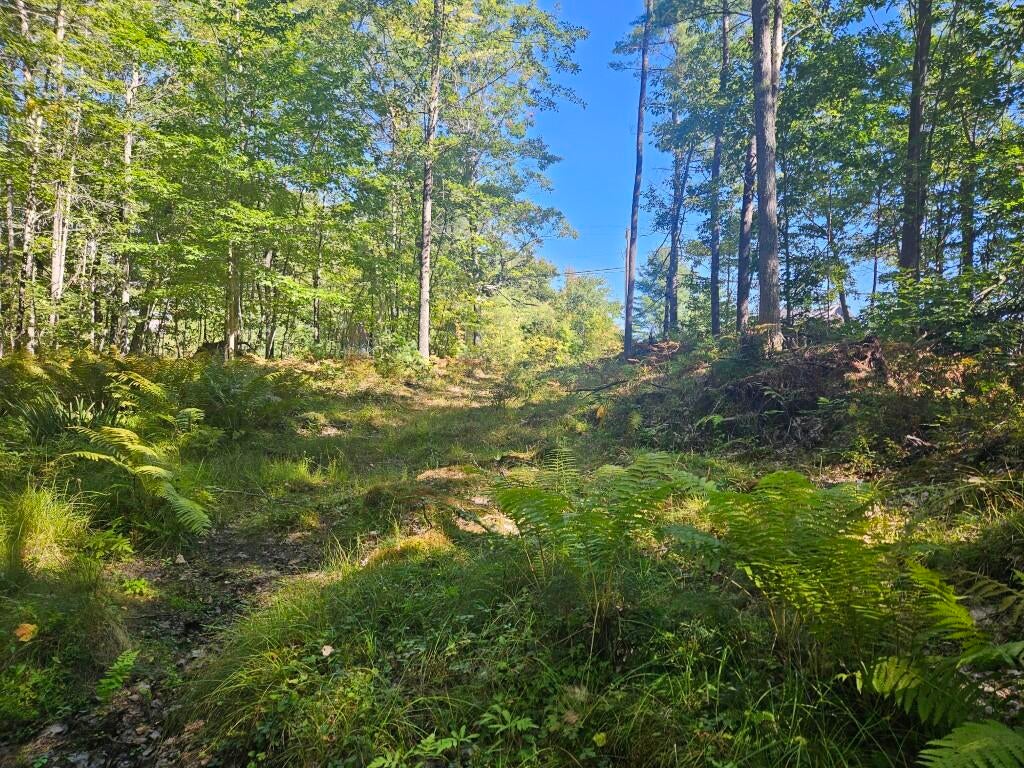 9F Pequawket Trail