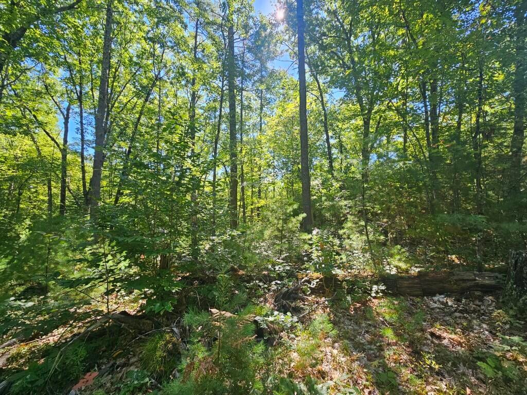 9F Pequawket Trail