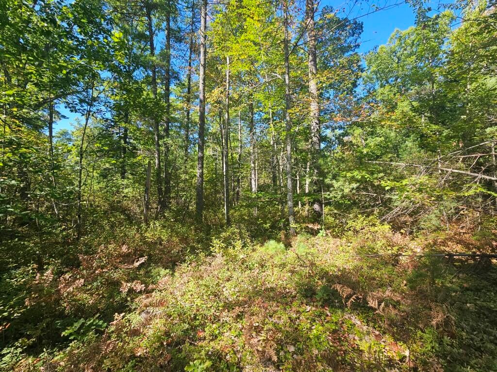 9F Pequawket Trail