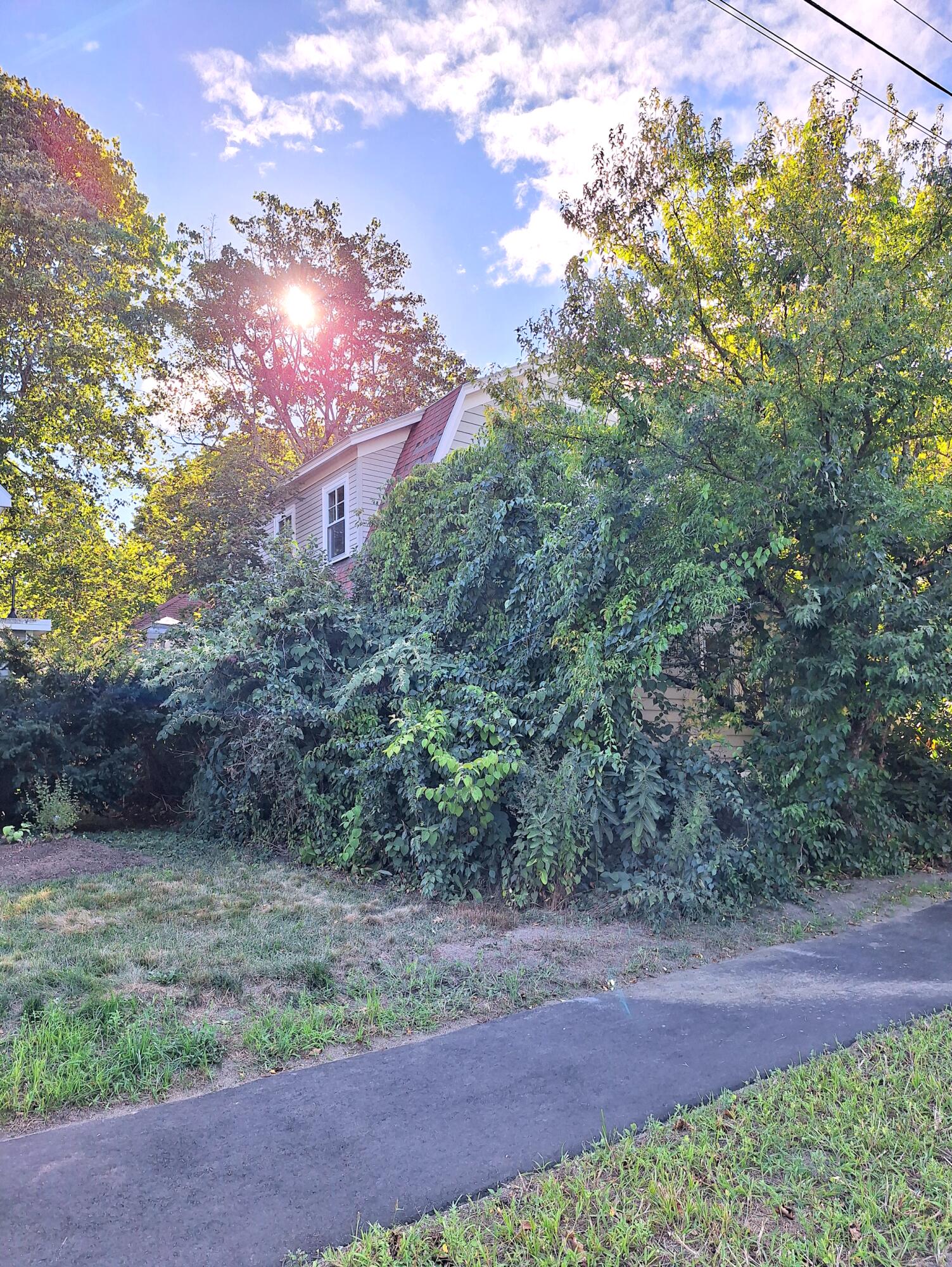 178 Davis Avenue