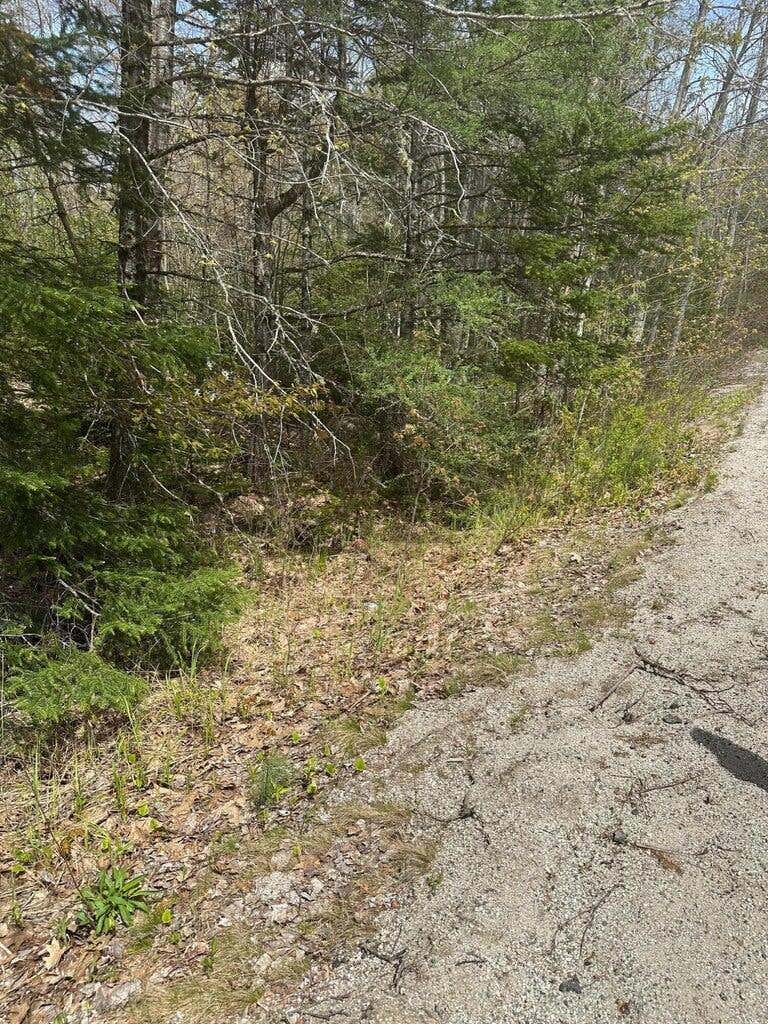 Photo of Lot 6 West Unionville Road, Steuben, ME 04680 (MLS # 1666206)