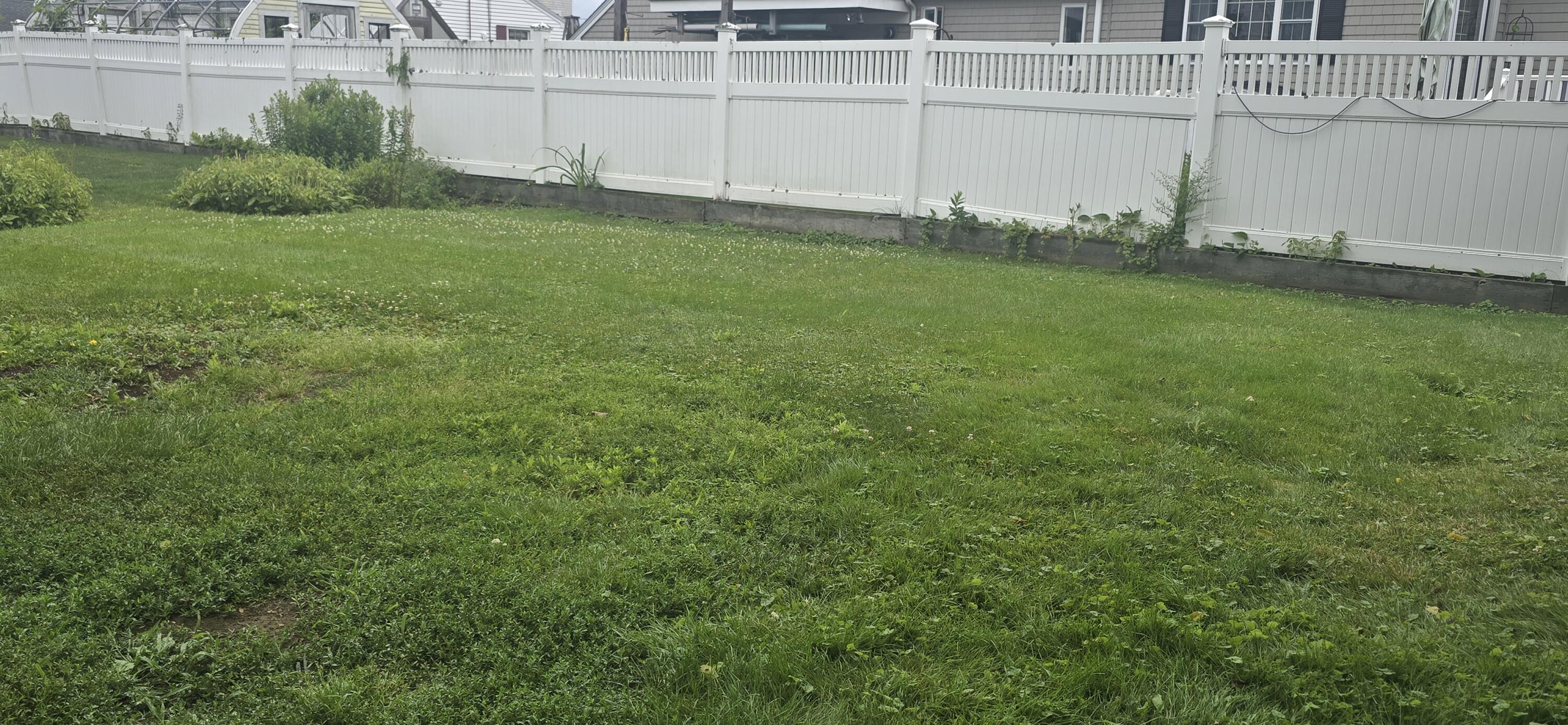 11 Surf Avenue