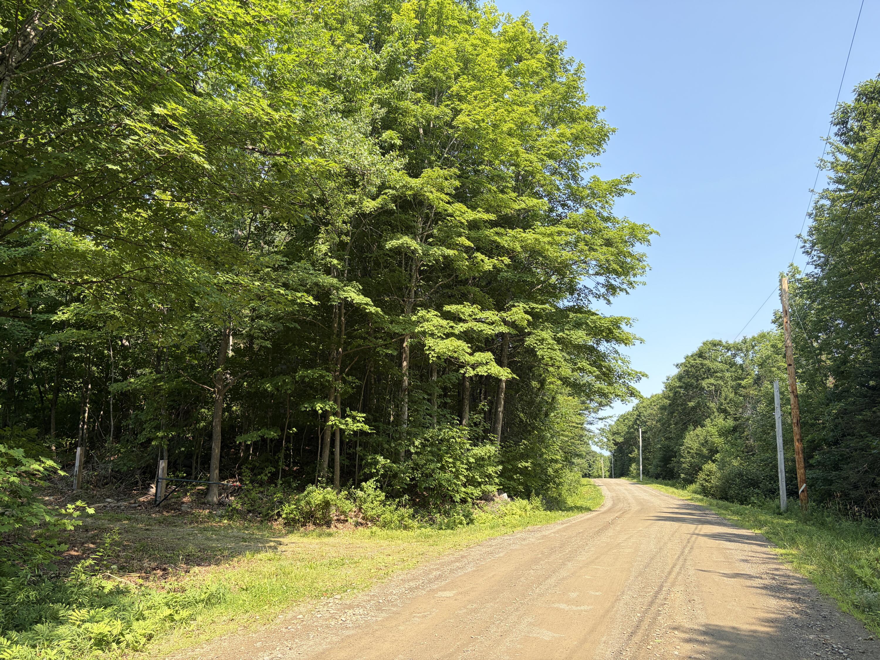 44 Acres Belden Woods Road