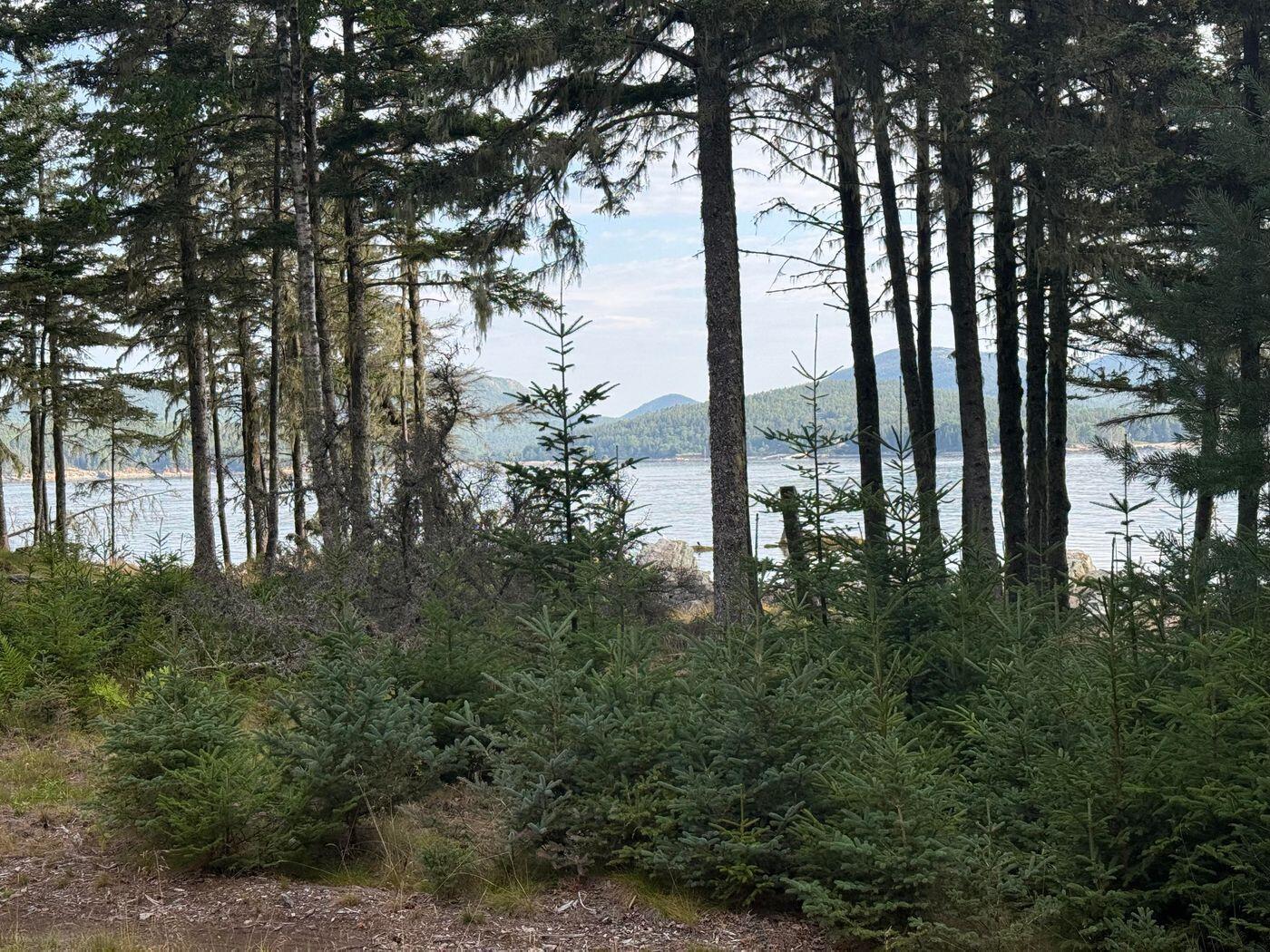 Lot 10-1 N Sutton Island
