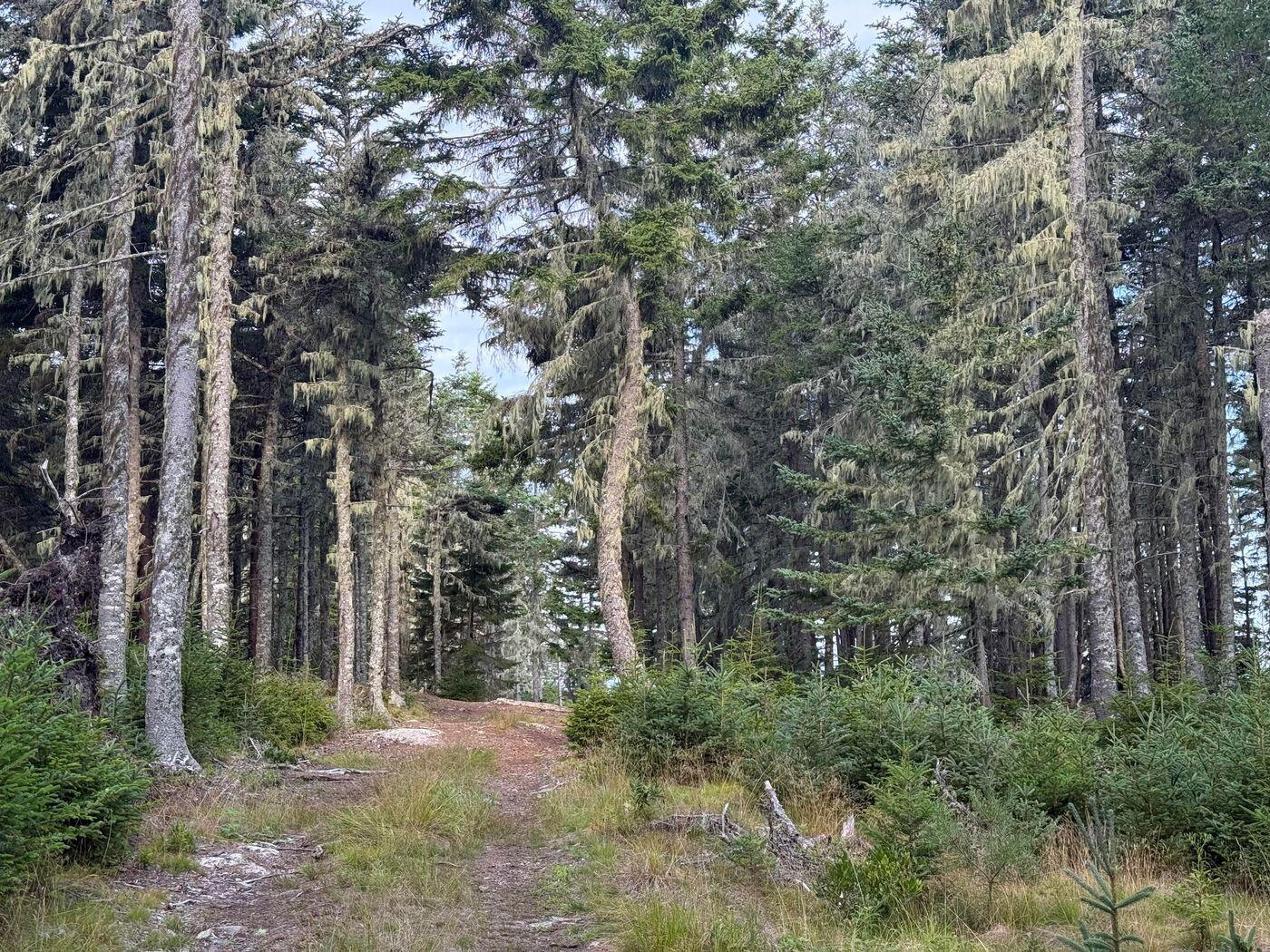Lot 10-1 N Sutton Island