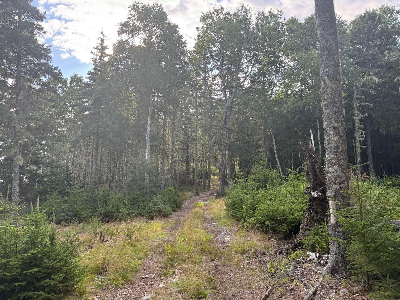Lot 10-1 N Sutton Island