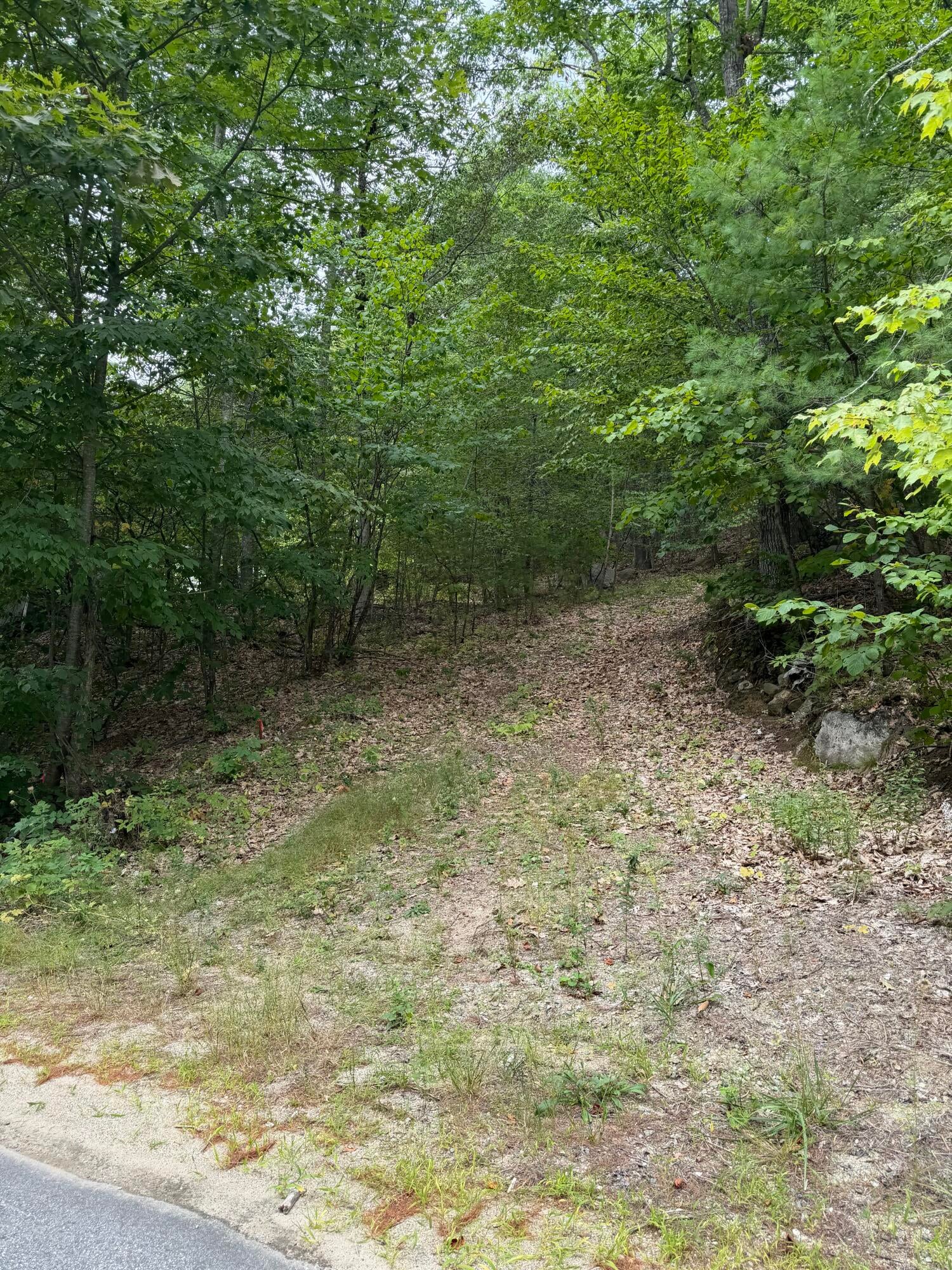 Lot 8 Acton Ridge Road