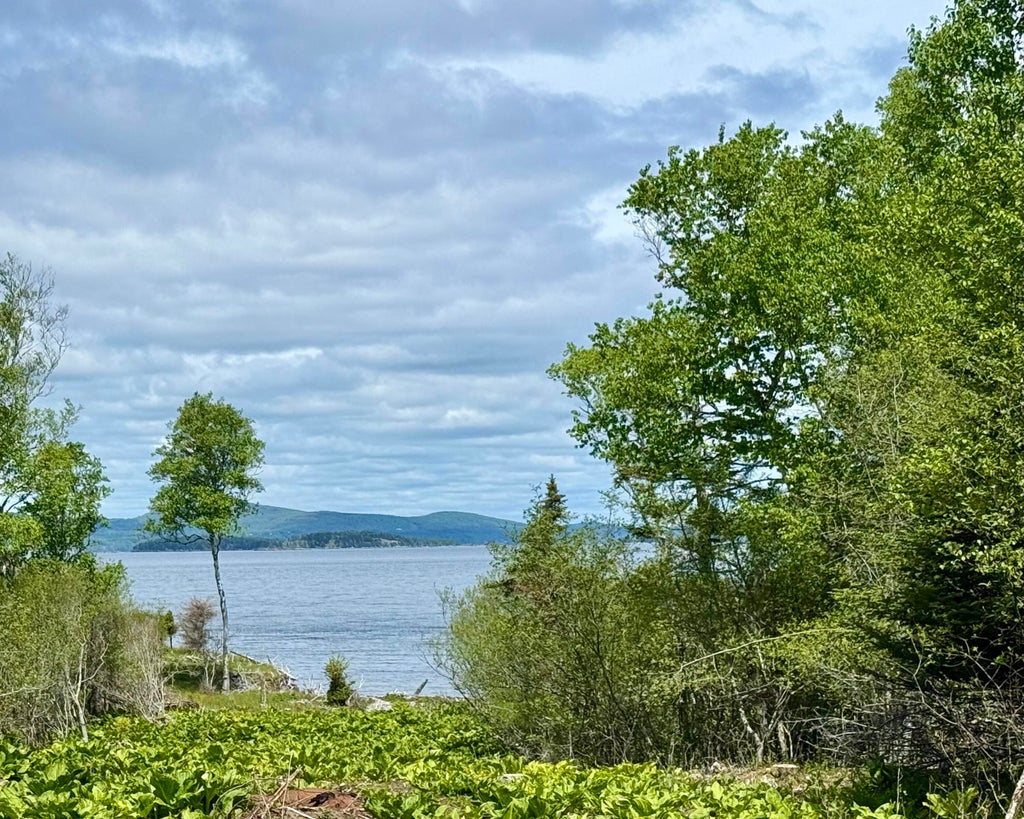 Photo of 213-001 W West District Road, North Haven, ME 04853 (MLS # 1665389)