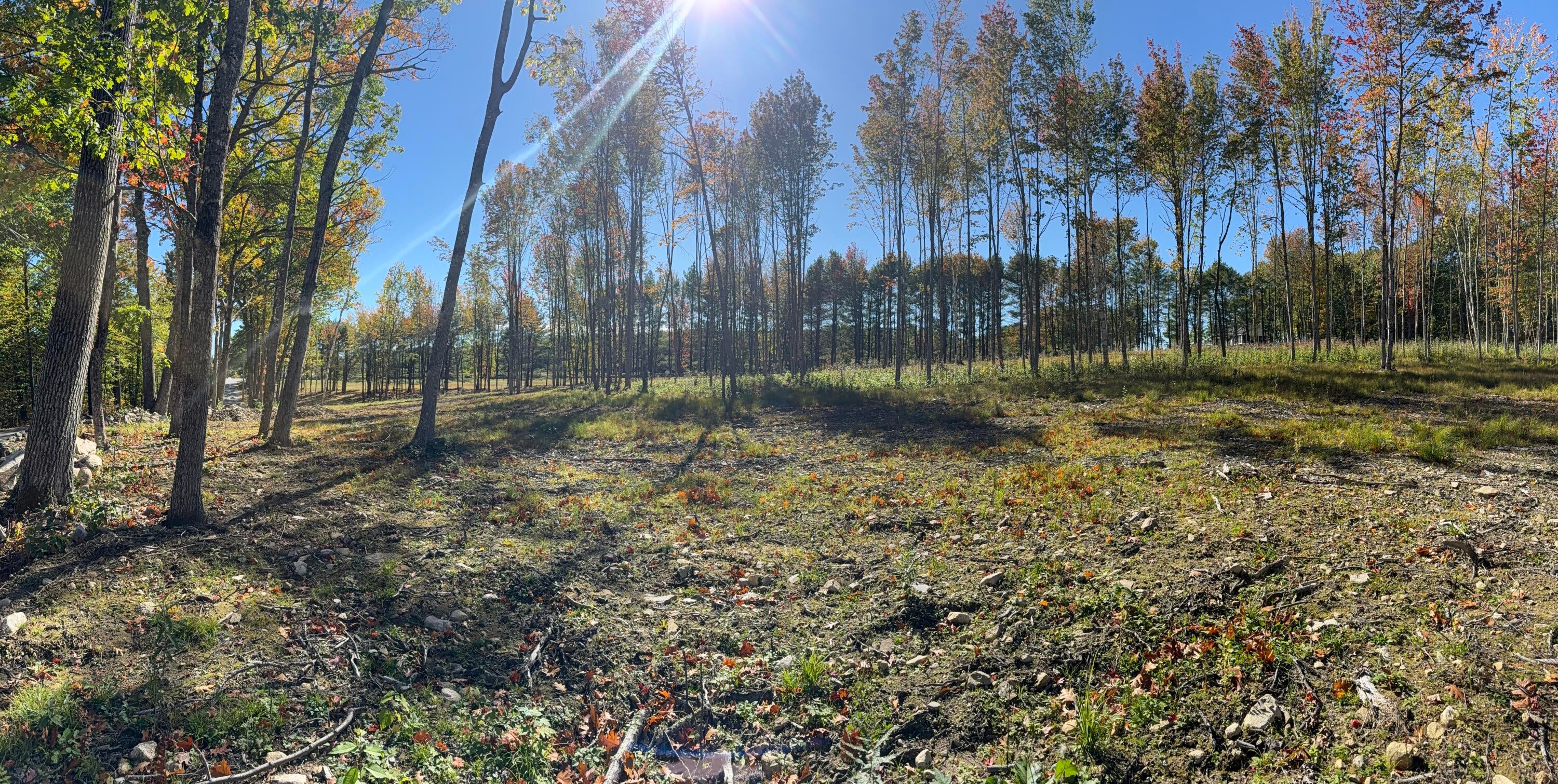 630 Youngs Ridge Road Lot #3