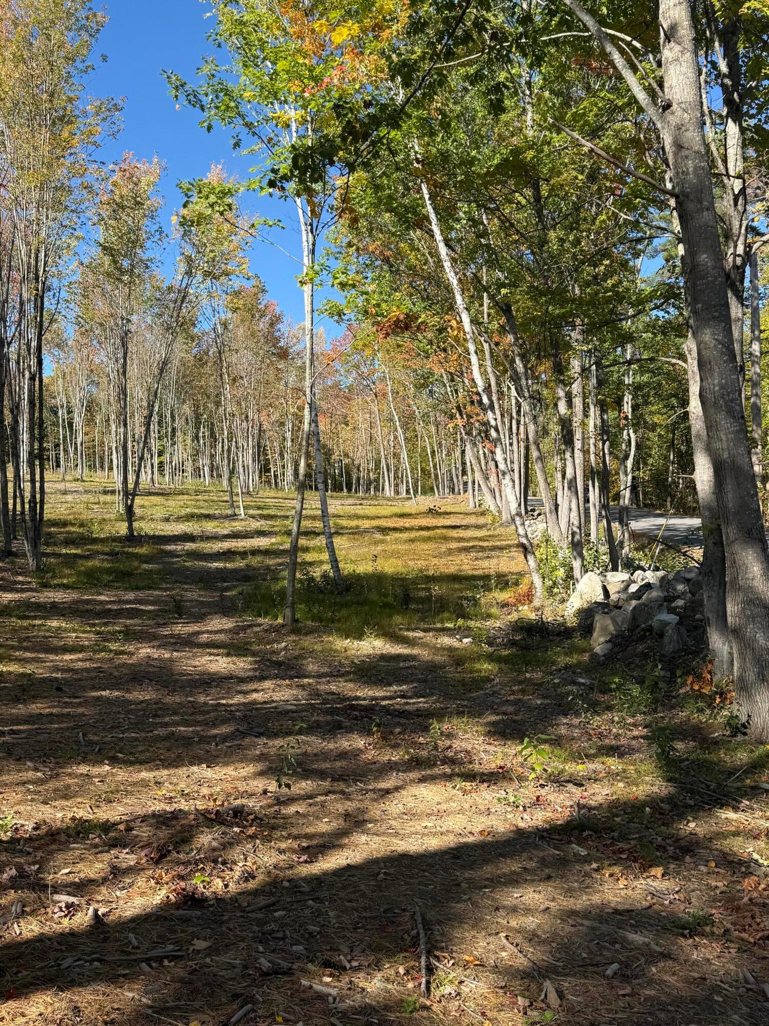 630 Youngs Ridge Road Lot #3